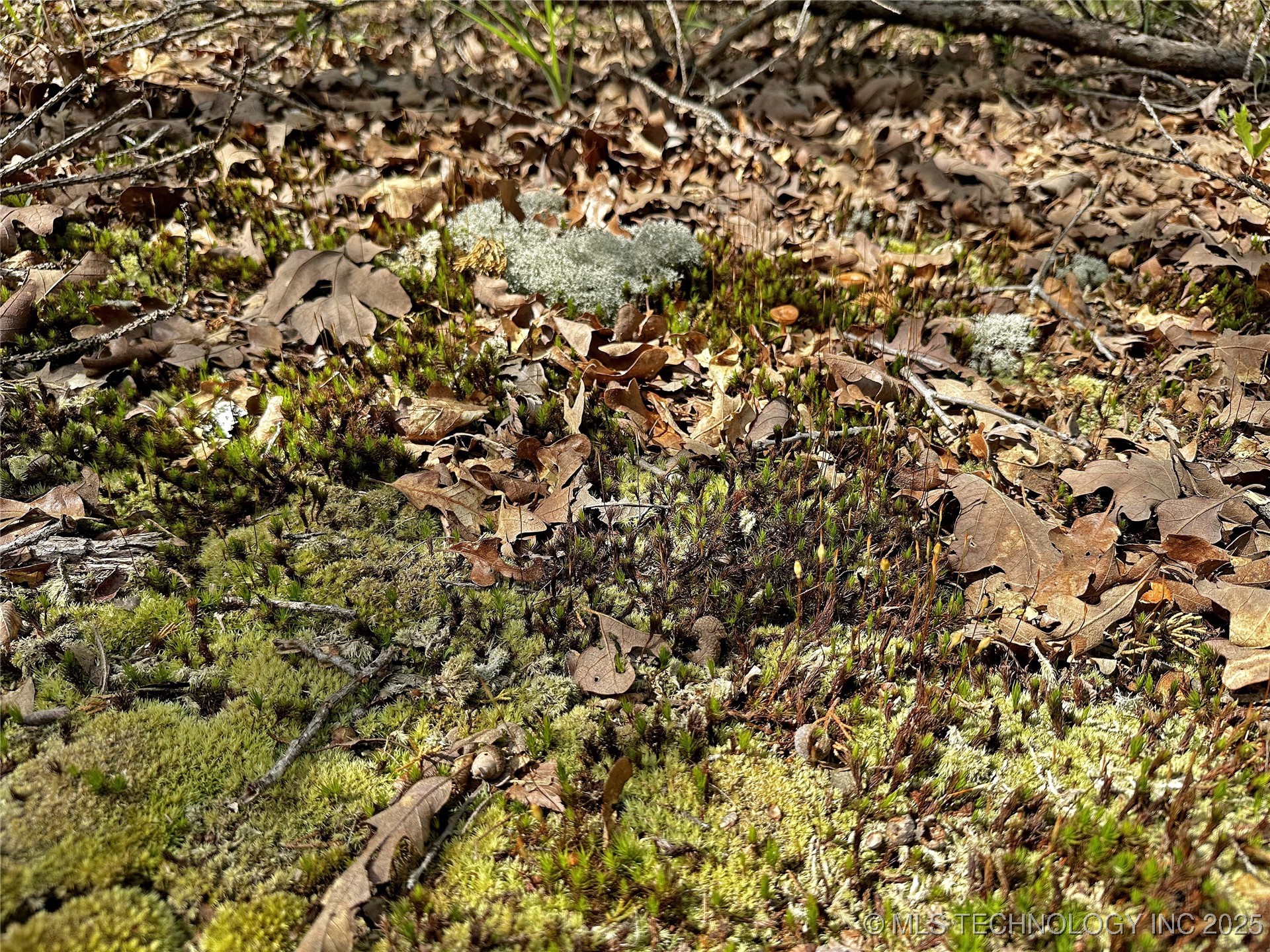 000 E 1620 Road Property Photo 19