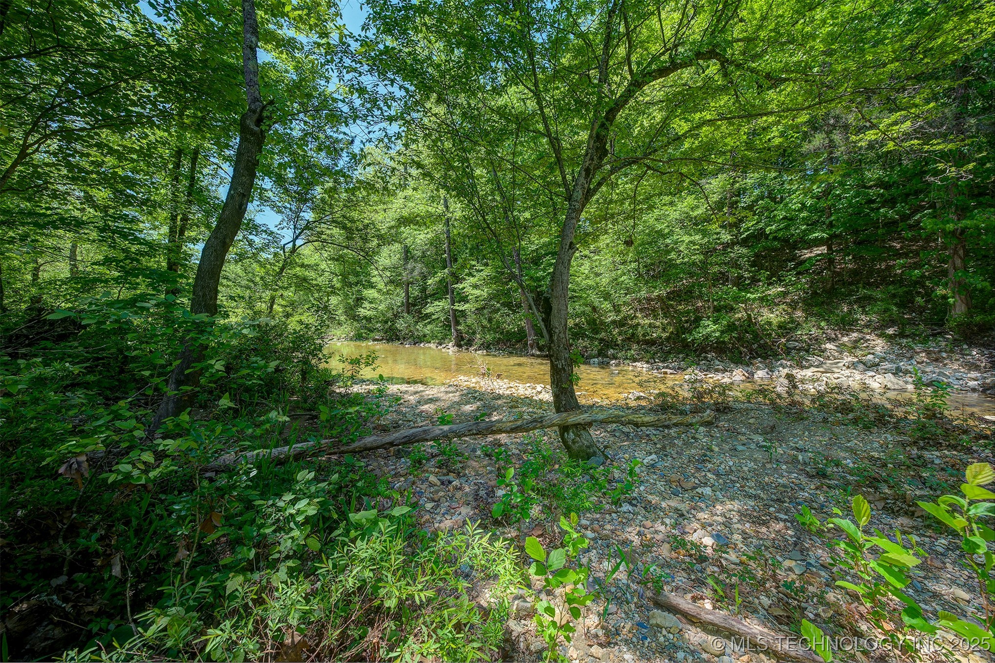 Lookout Street Property Photo 2