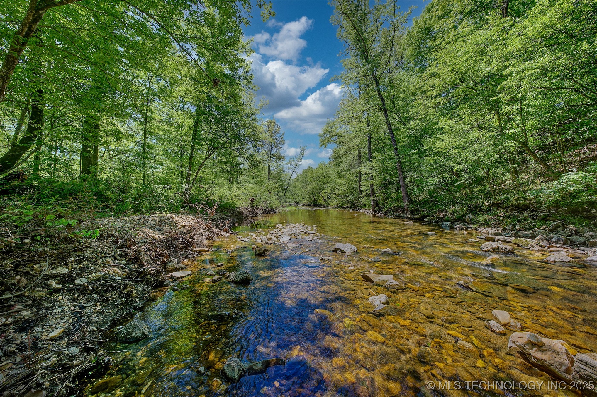Lookout Street Property Photo 3