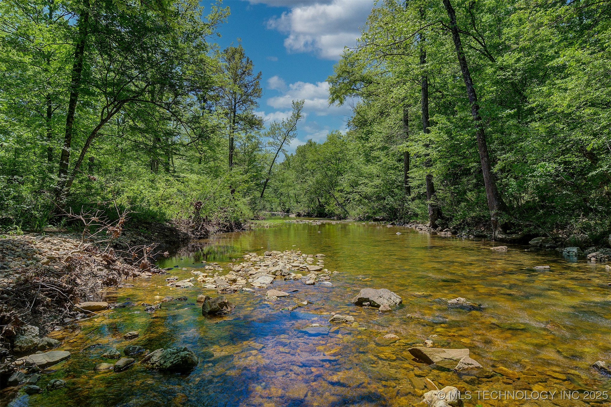 Lookout Street Property Photo 4