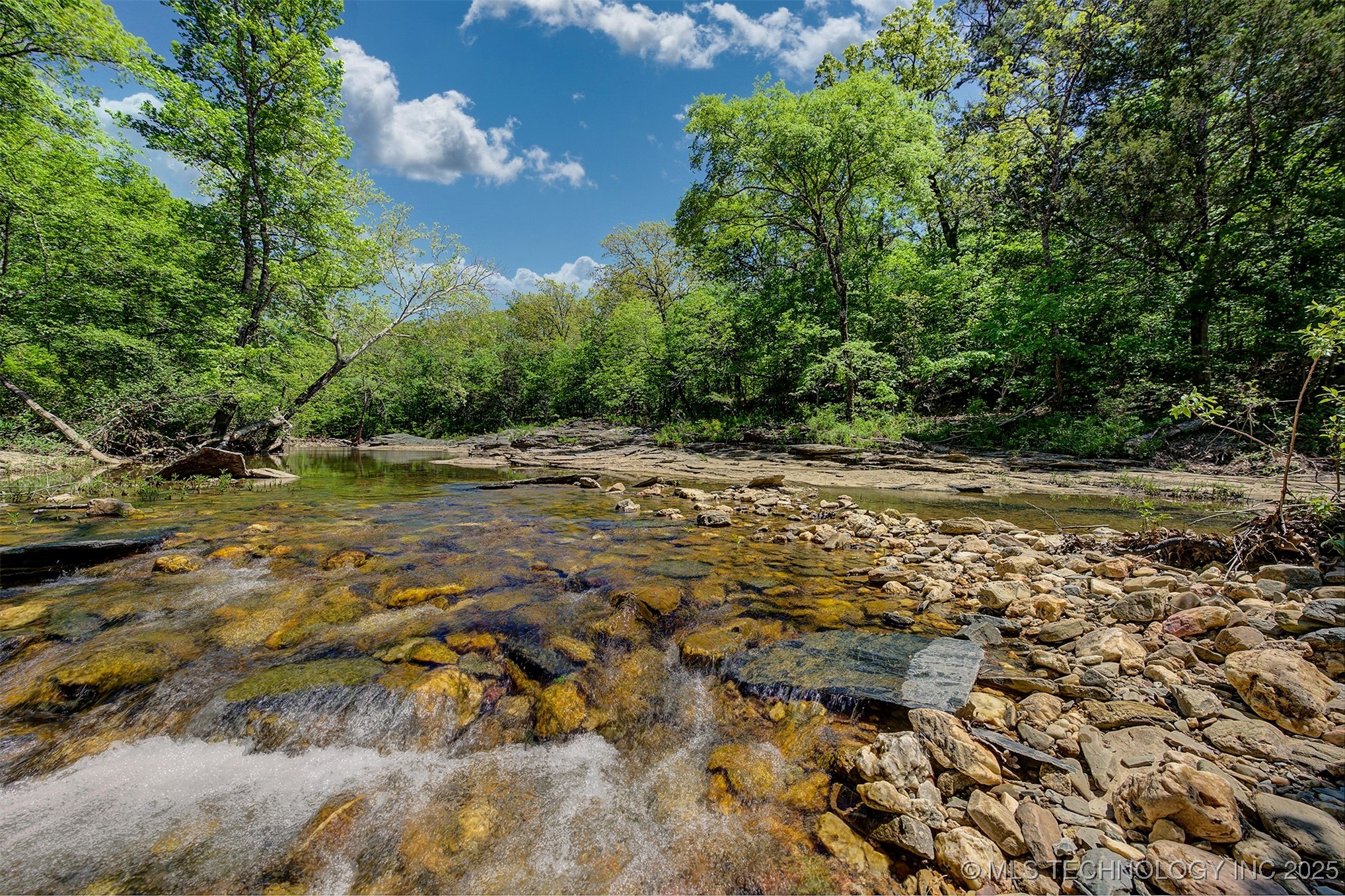 Lookout Street Property Photo 5