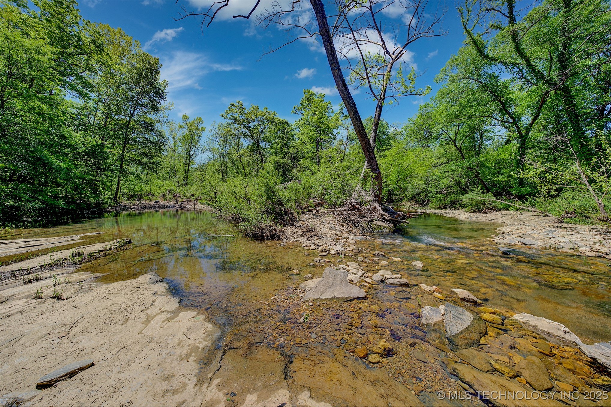 Lookout Street Property Photo 6