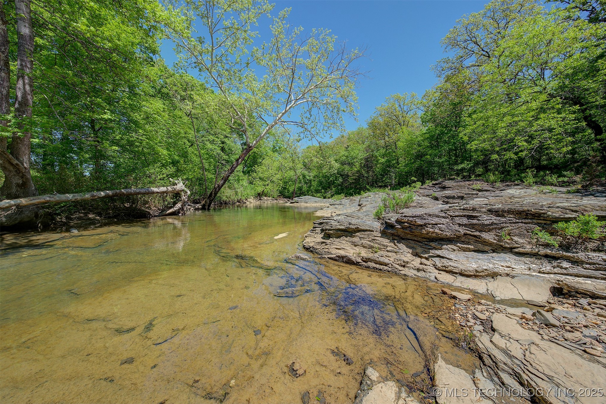 Lookout Street Property Photo 7