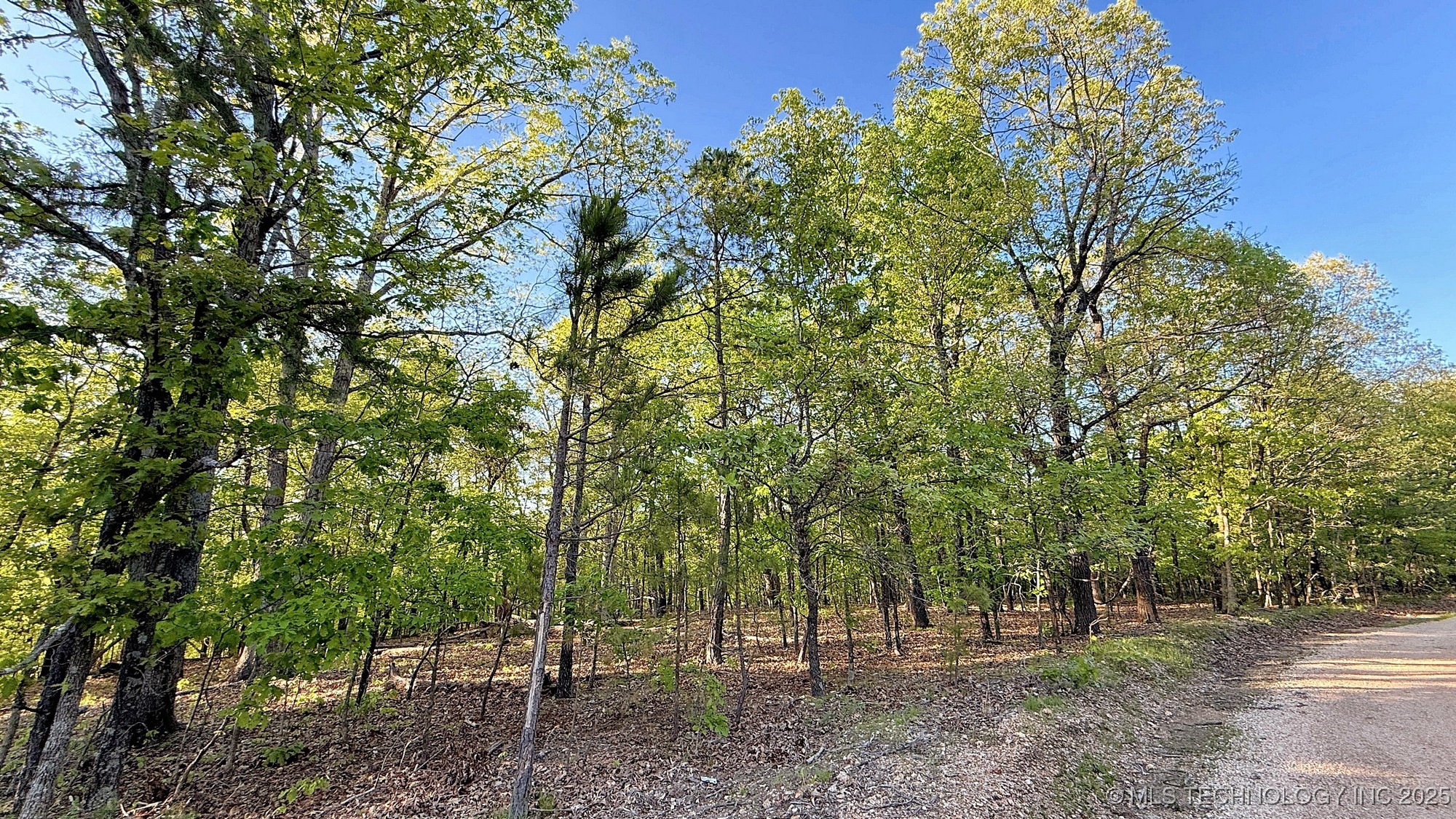 187 Bear Lake Road Property Photo 2