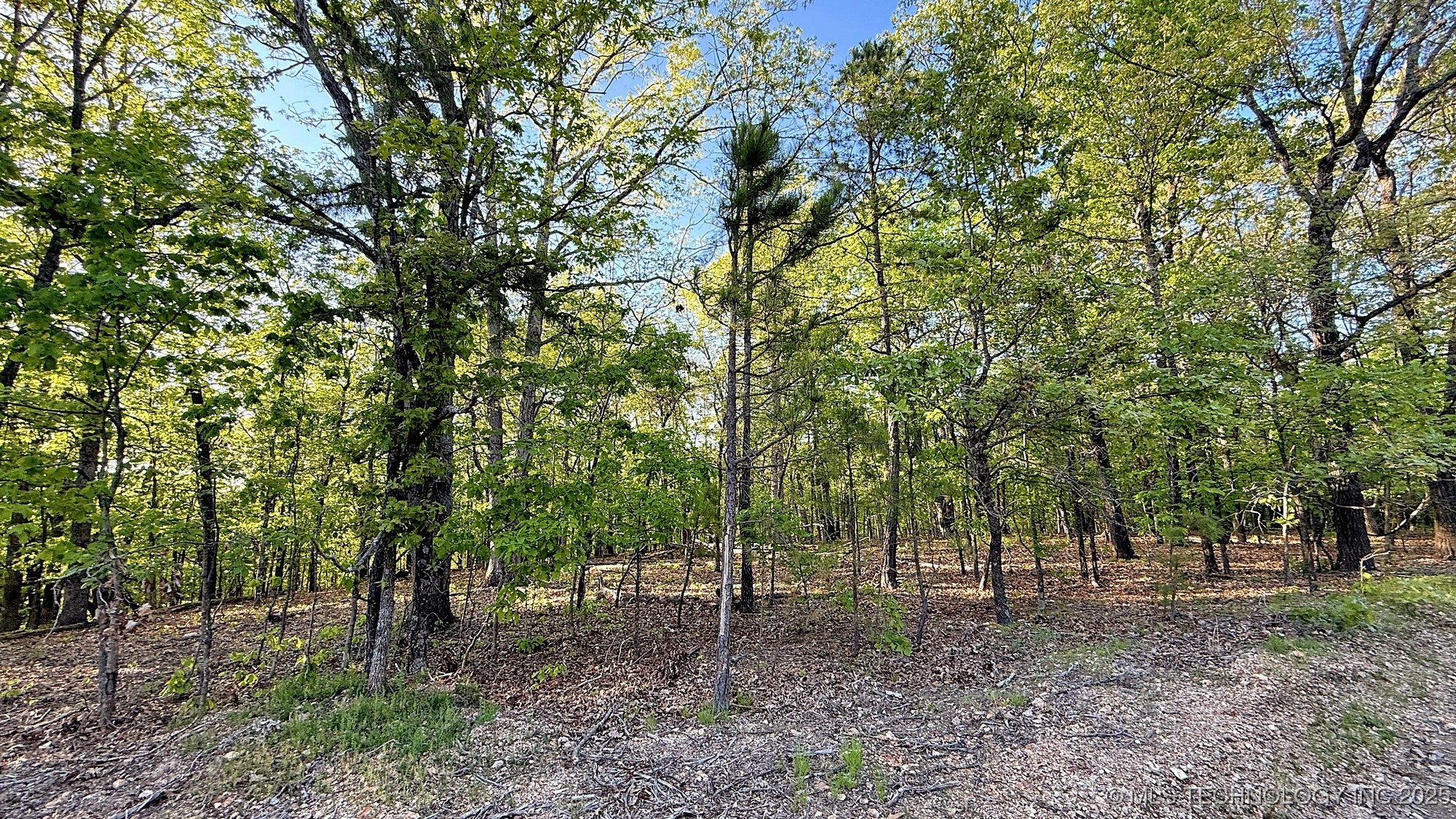 187 Bear Lake Road Property Photo 3