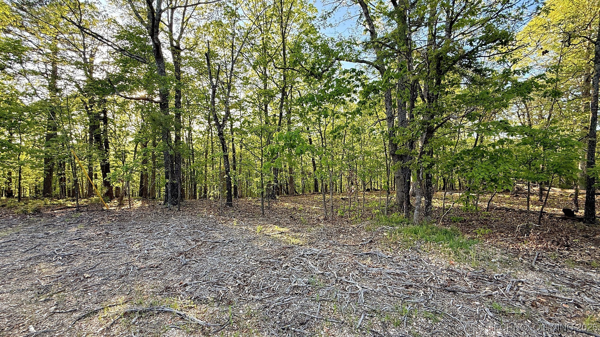 187 Bear Lake Road Property Photo 4