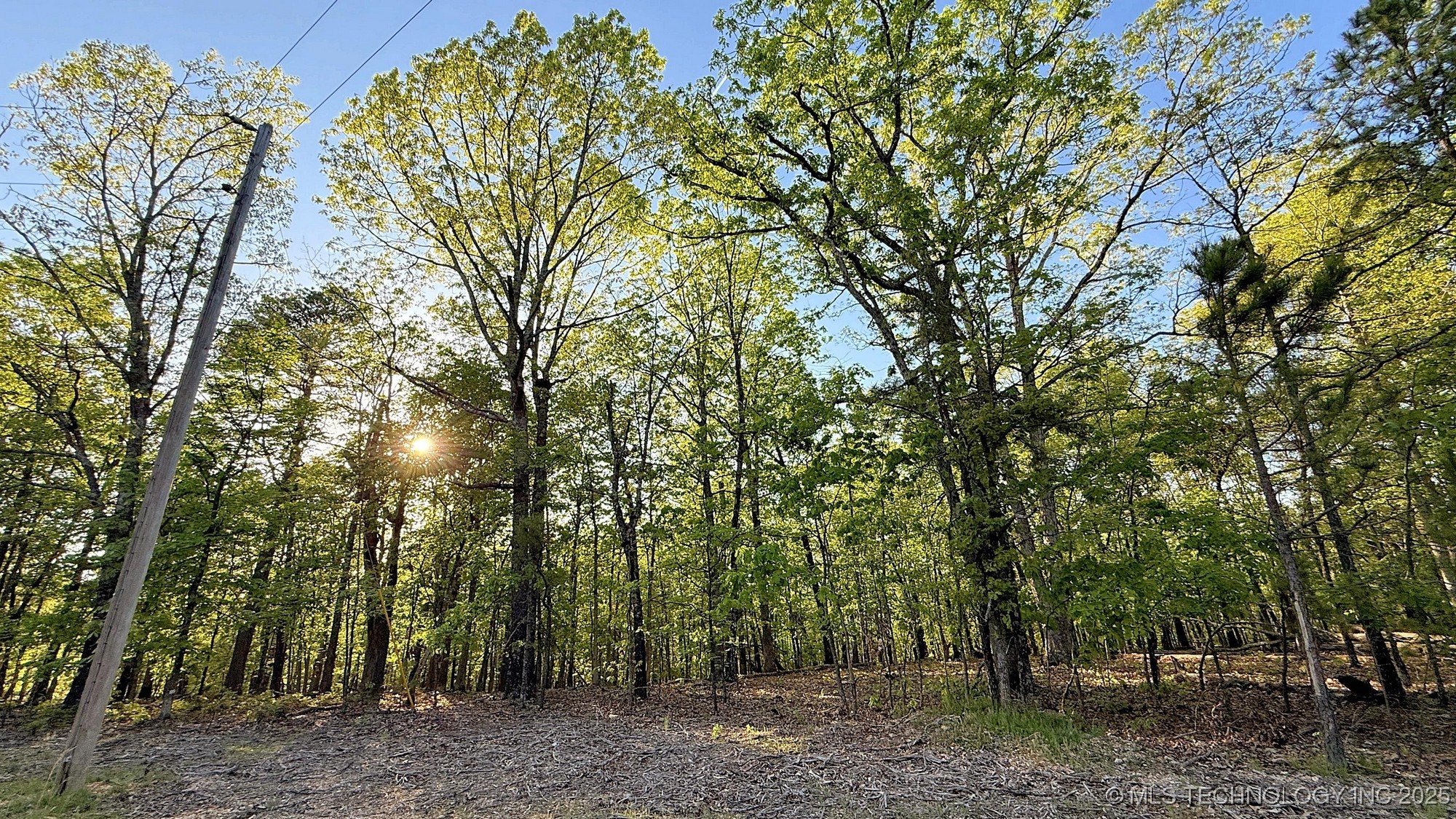 187 Bear Lake Road Property Photo 6