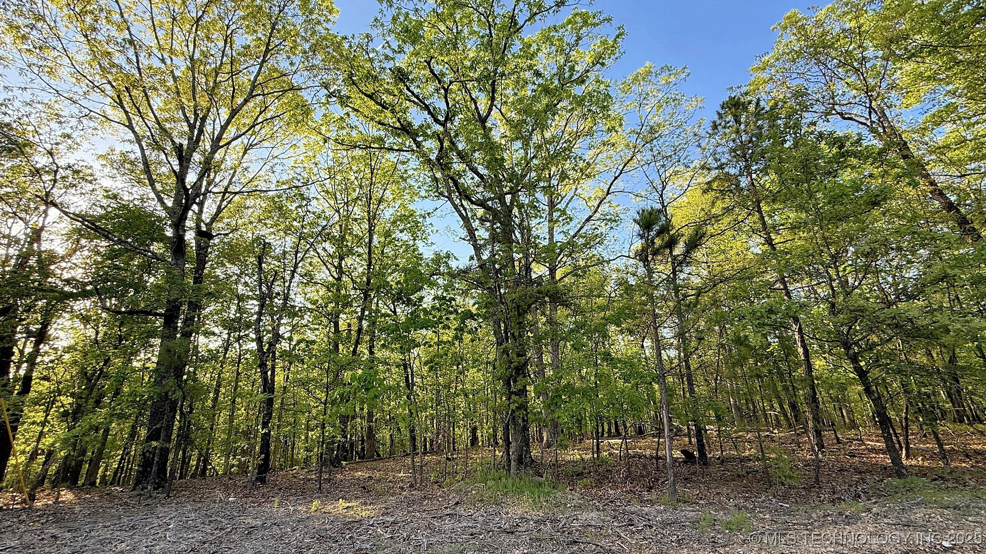 187 Bear Lake Road Property Photo 7