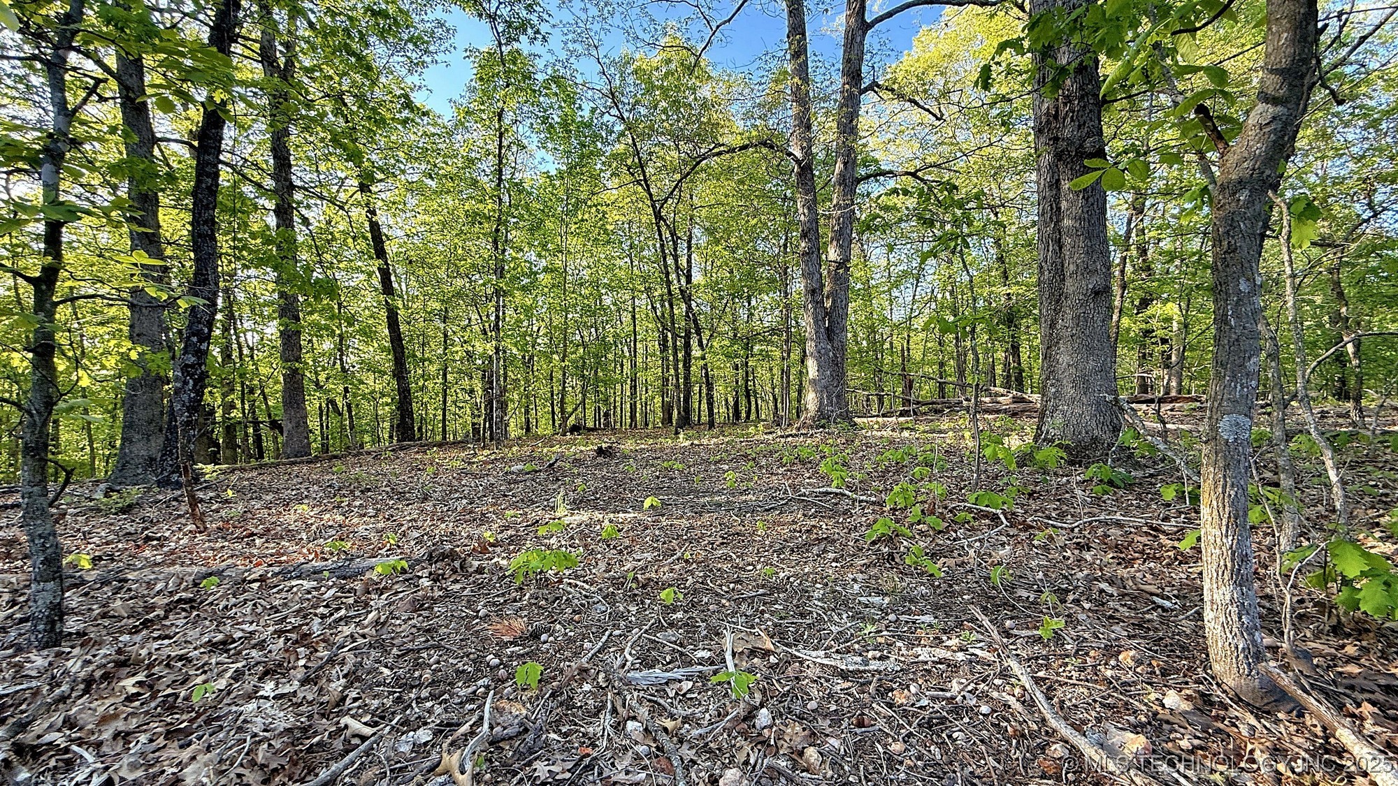 187 Bear Lake Road Property Photo 8