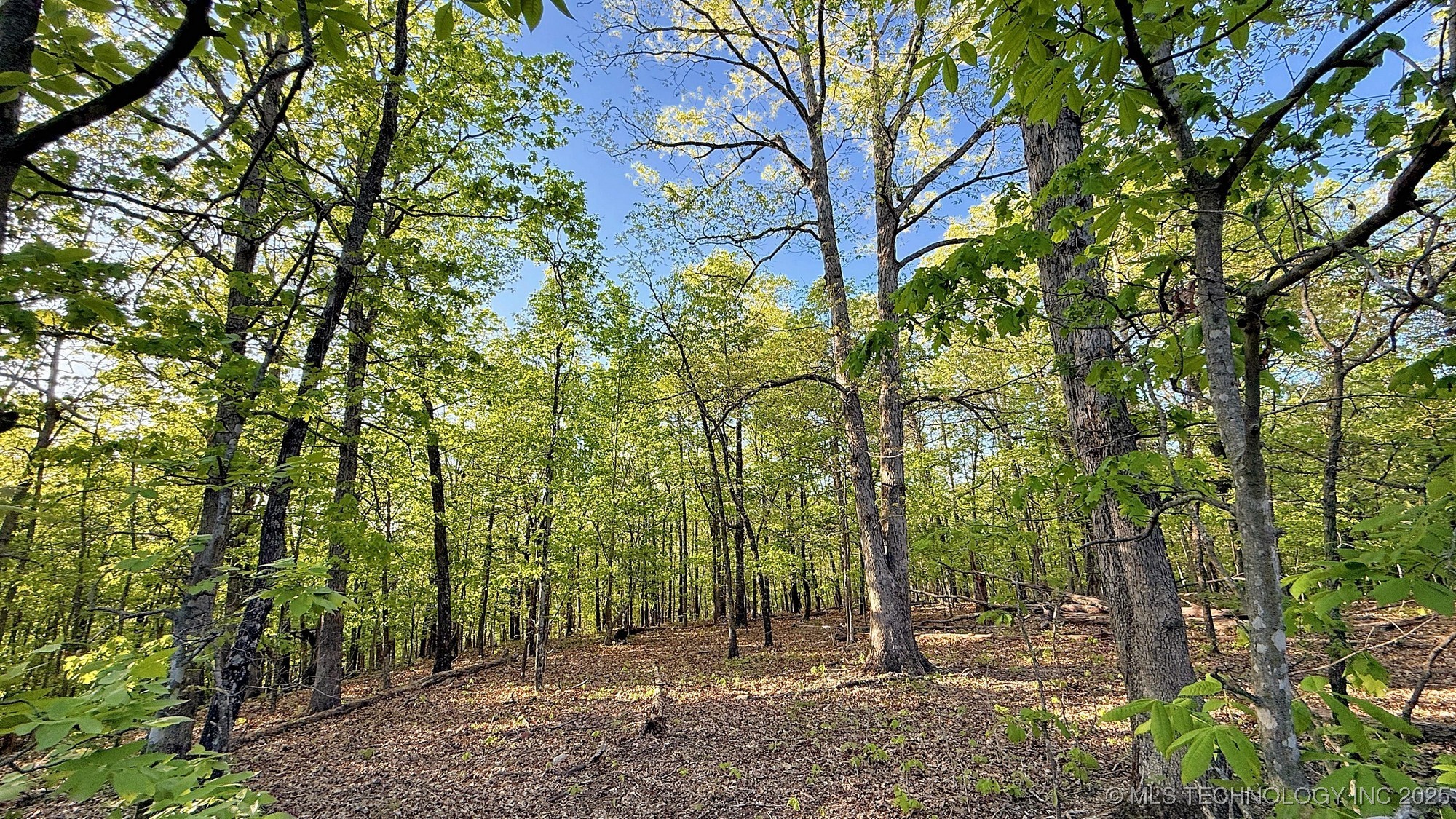 187 Bear Lake Road Property Photo 9