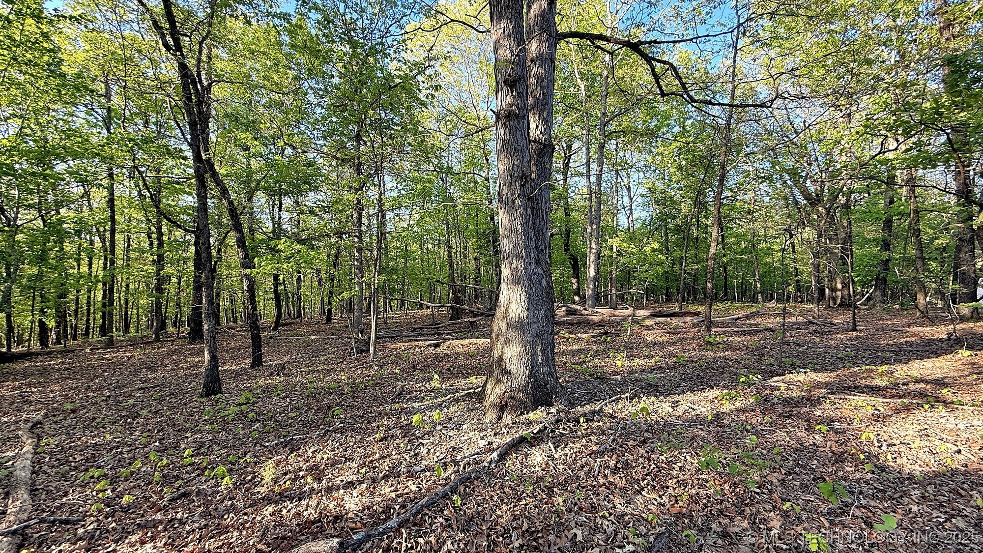 187 Bear Lake Road Property Photo 10