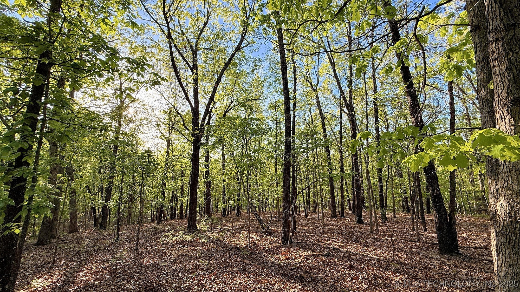 187 Bear Lake Road Property Photo 11