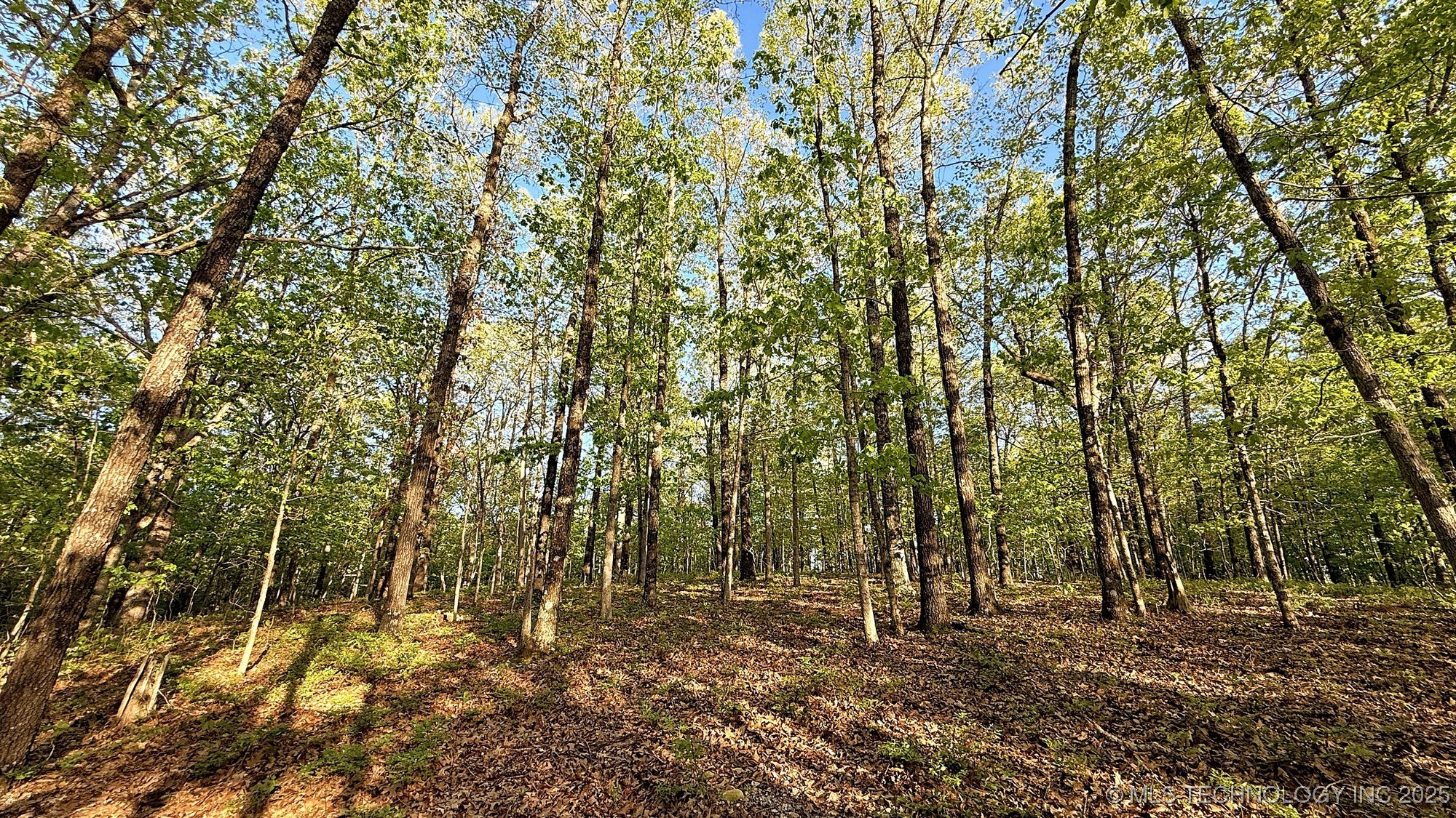 187 Bear Lake Road Property Photo 12