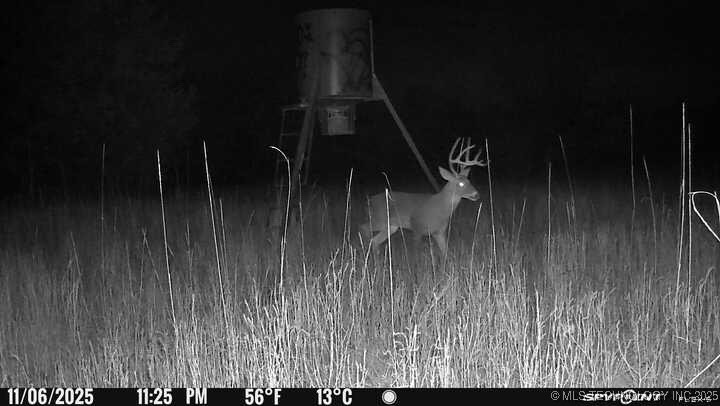 Lake Property Photo 2