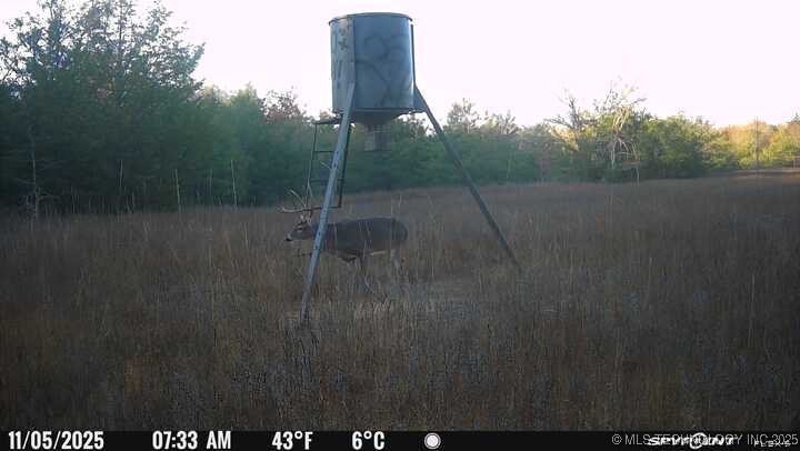 Lake Property Photo 3