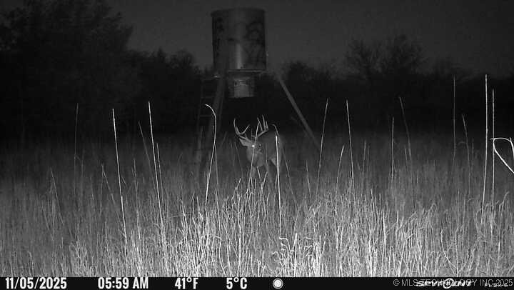 Lake Property Photo 4