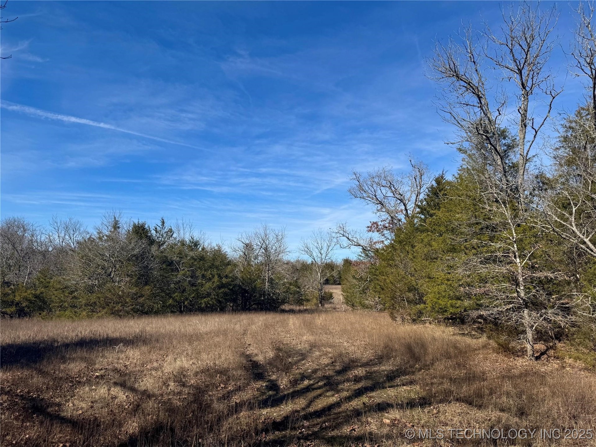 Lake Property Photo 10