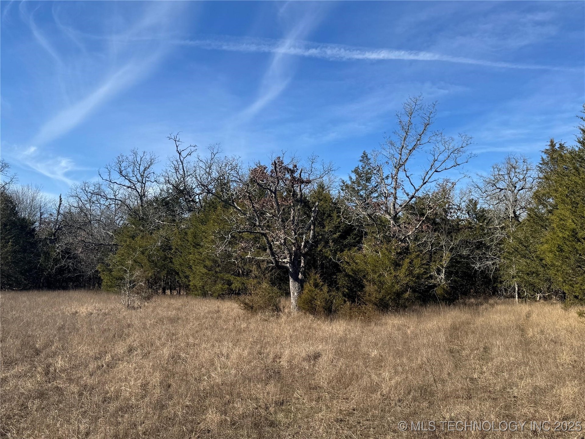 Lake Property Photo 16