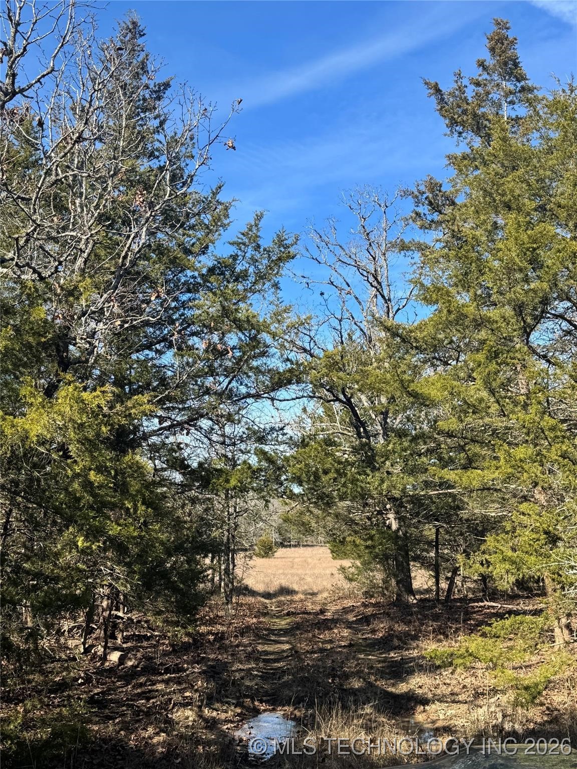 Lake Property Photo 22