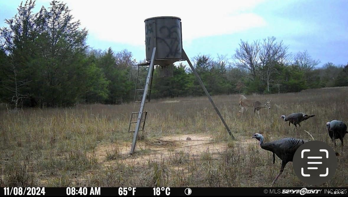 Lake Property Photo 24