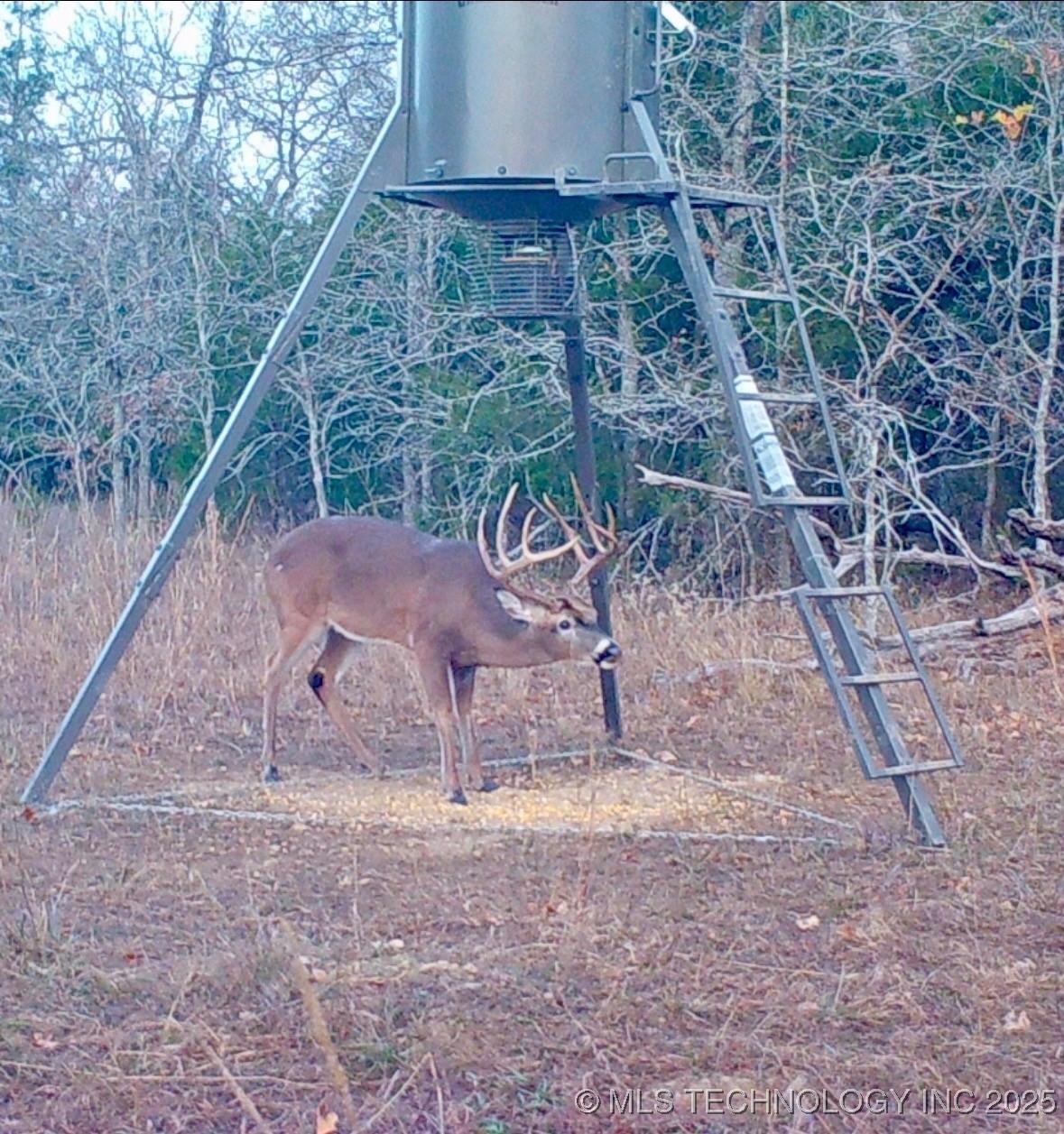 Lake Property Photo 25