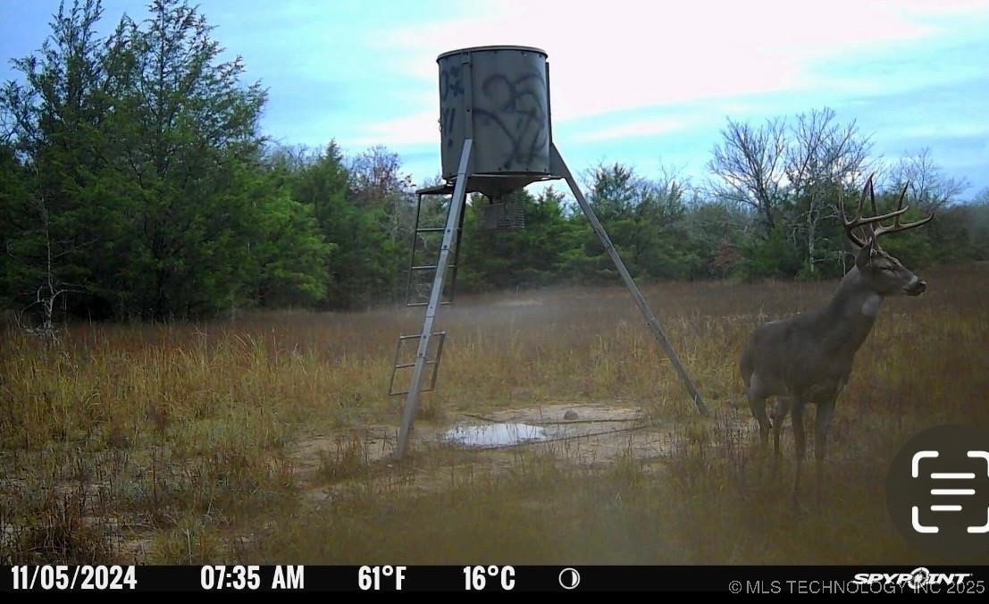 Lake Property Photo 26