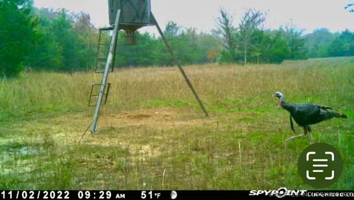 Lake Property Photo 27