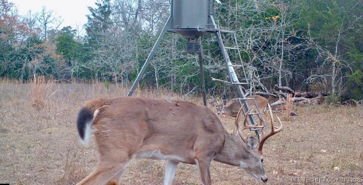 Lake Property Photo 28