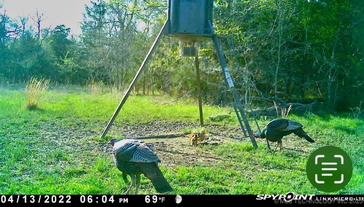 Lake Property Photo 29