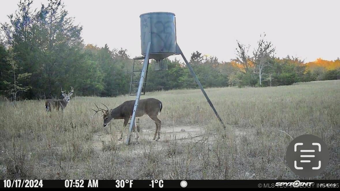 Lake Property Photo 30