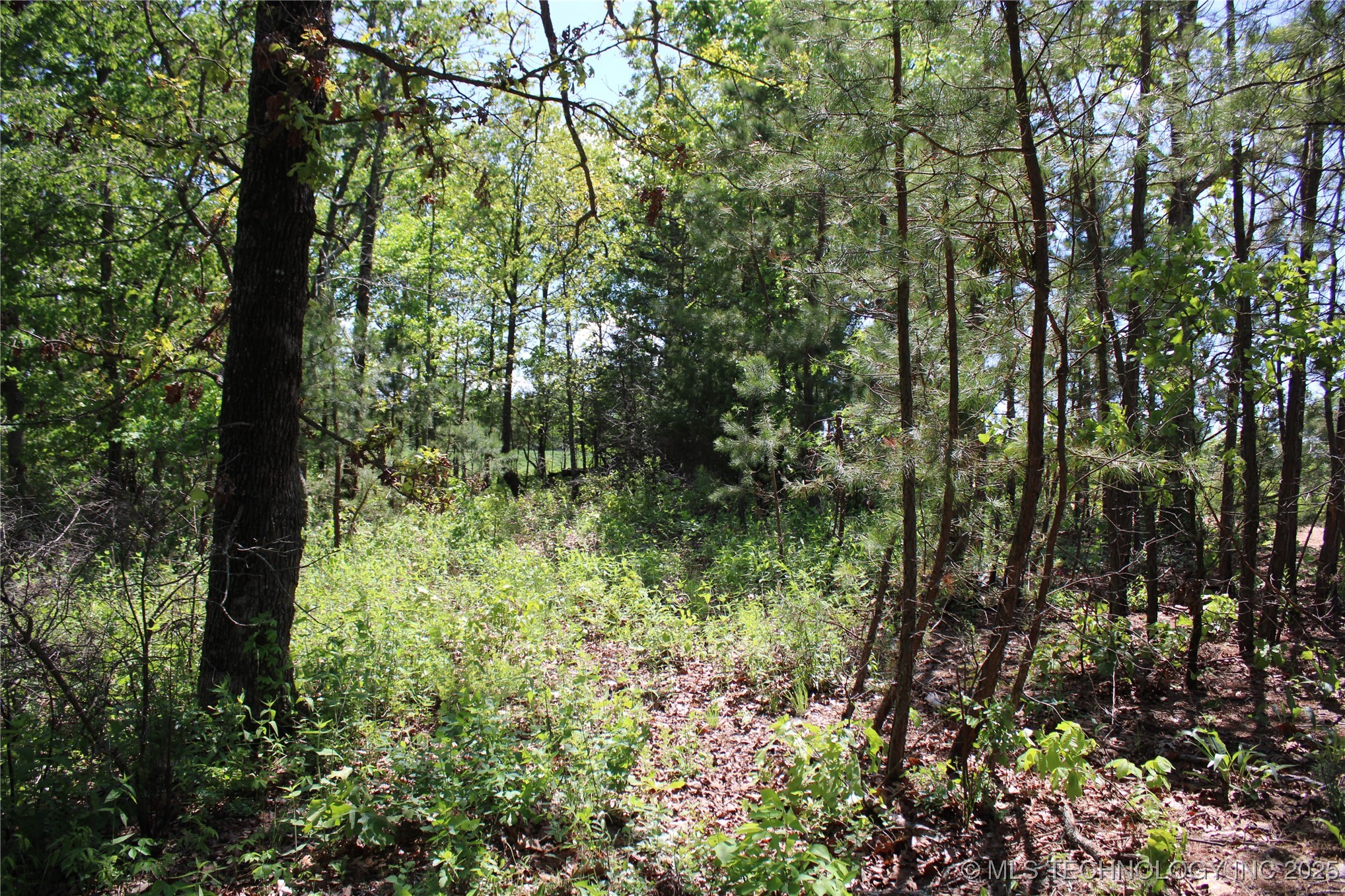 0000 E 480 Road Property Photo 3