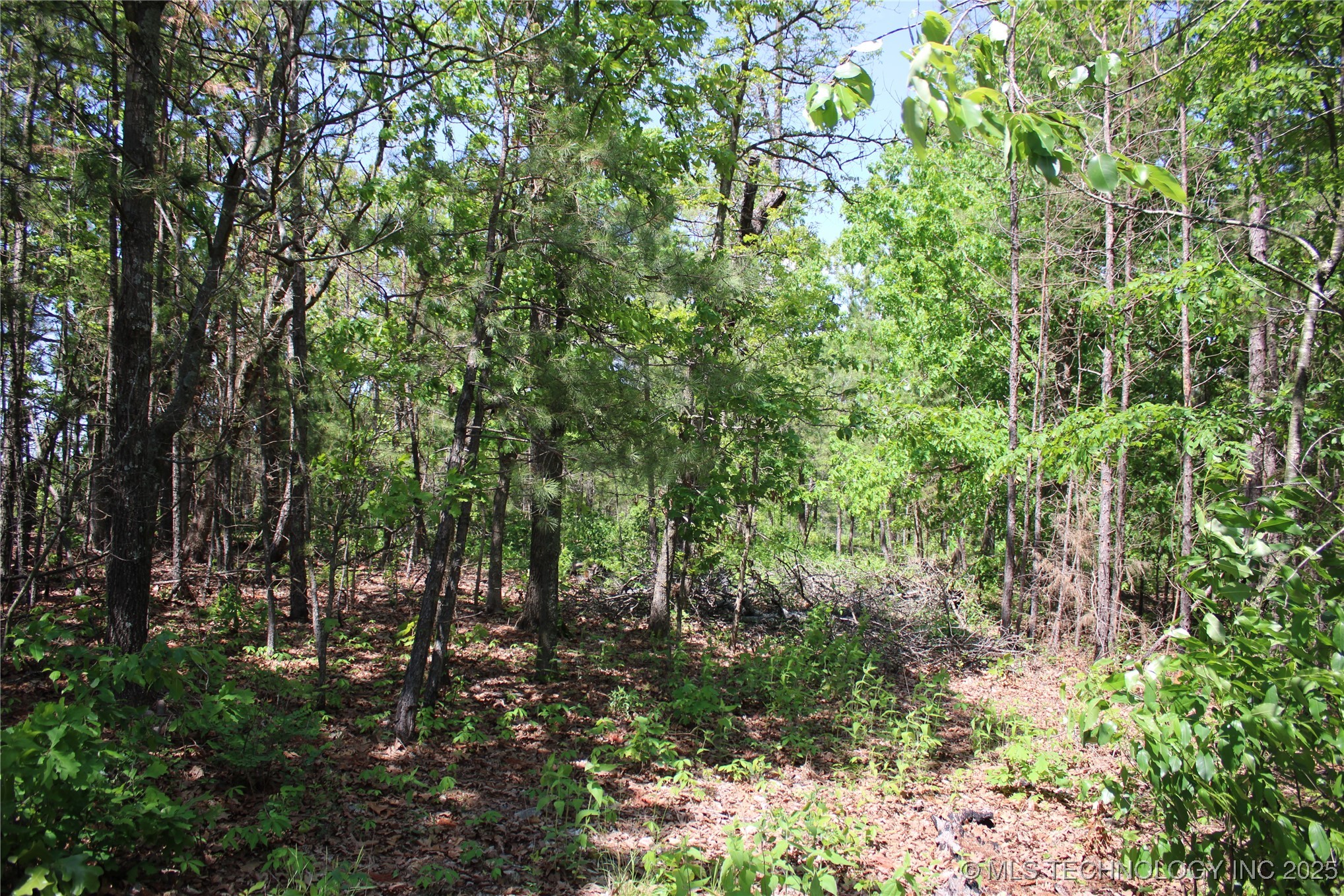 0000 E 480 Road Property Photo 4