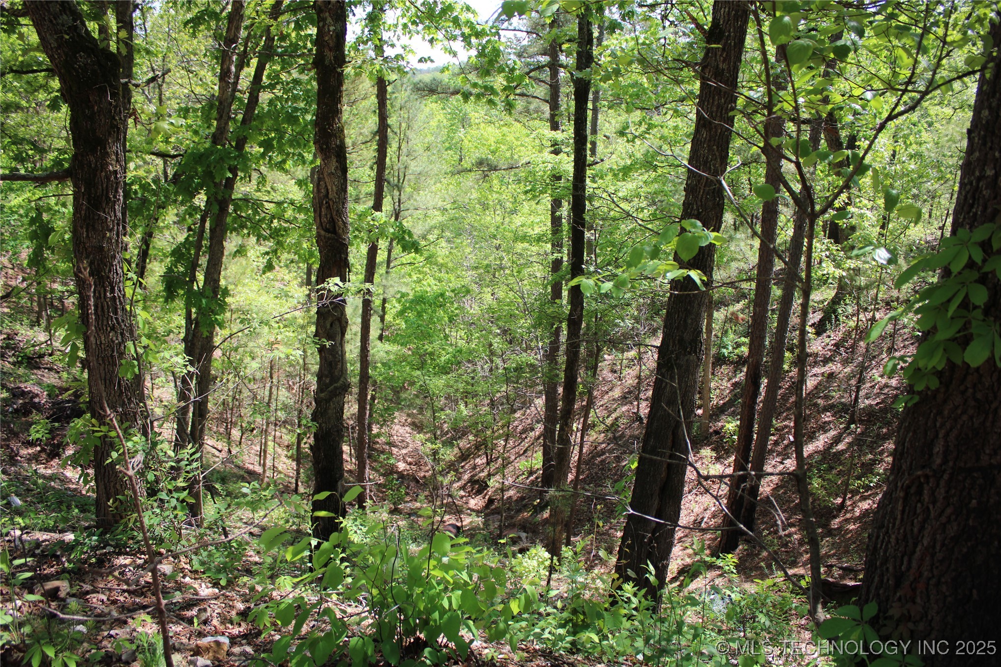 0000 E 480 Road Property Photo 6