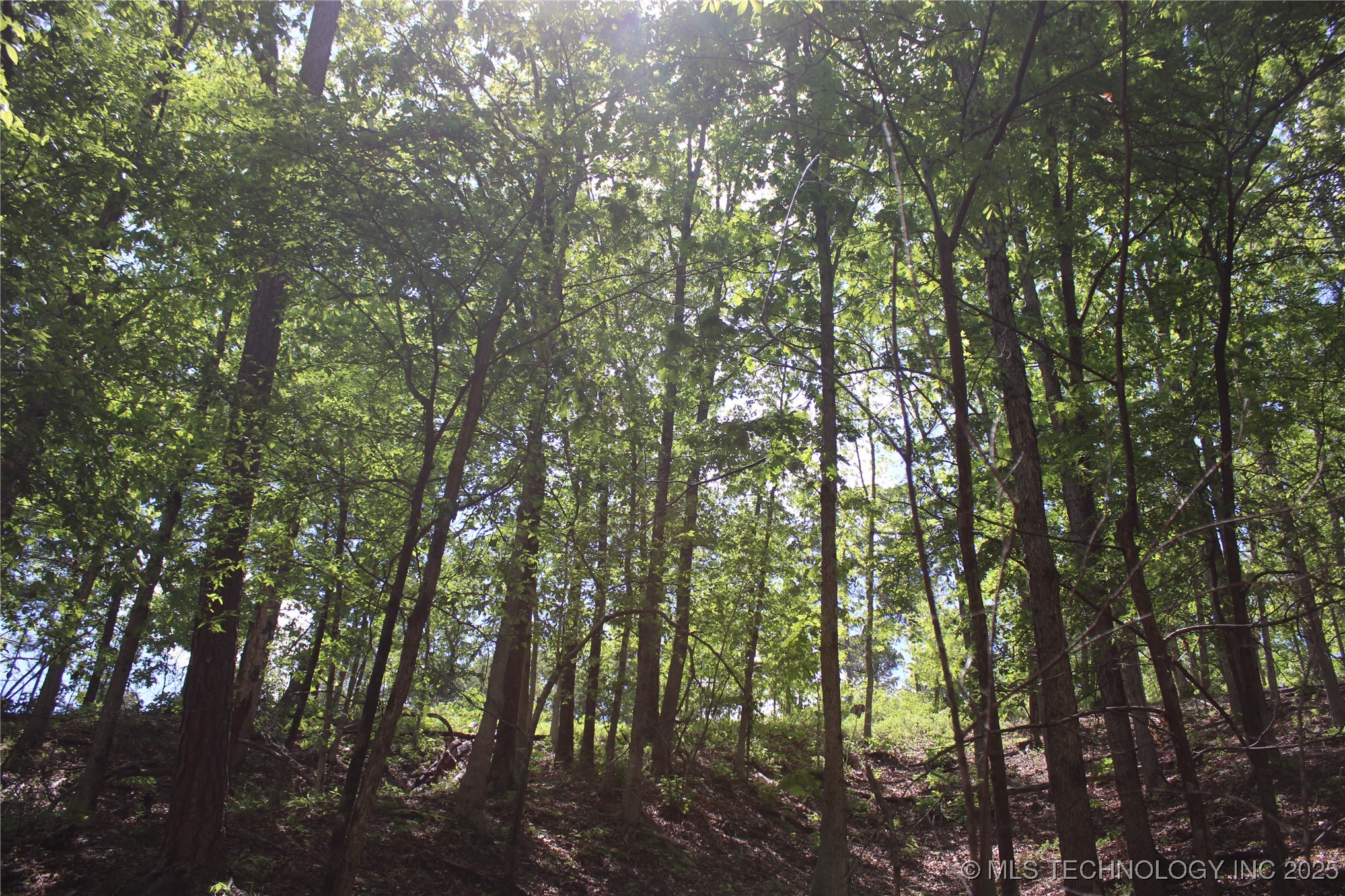 0000 E 480 Road Property Photo 15