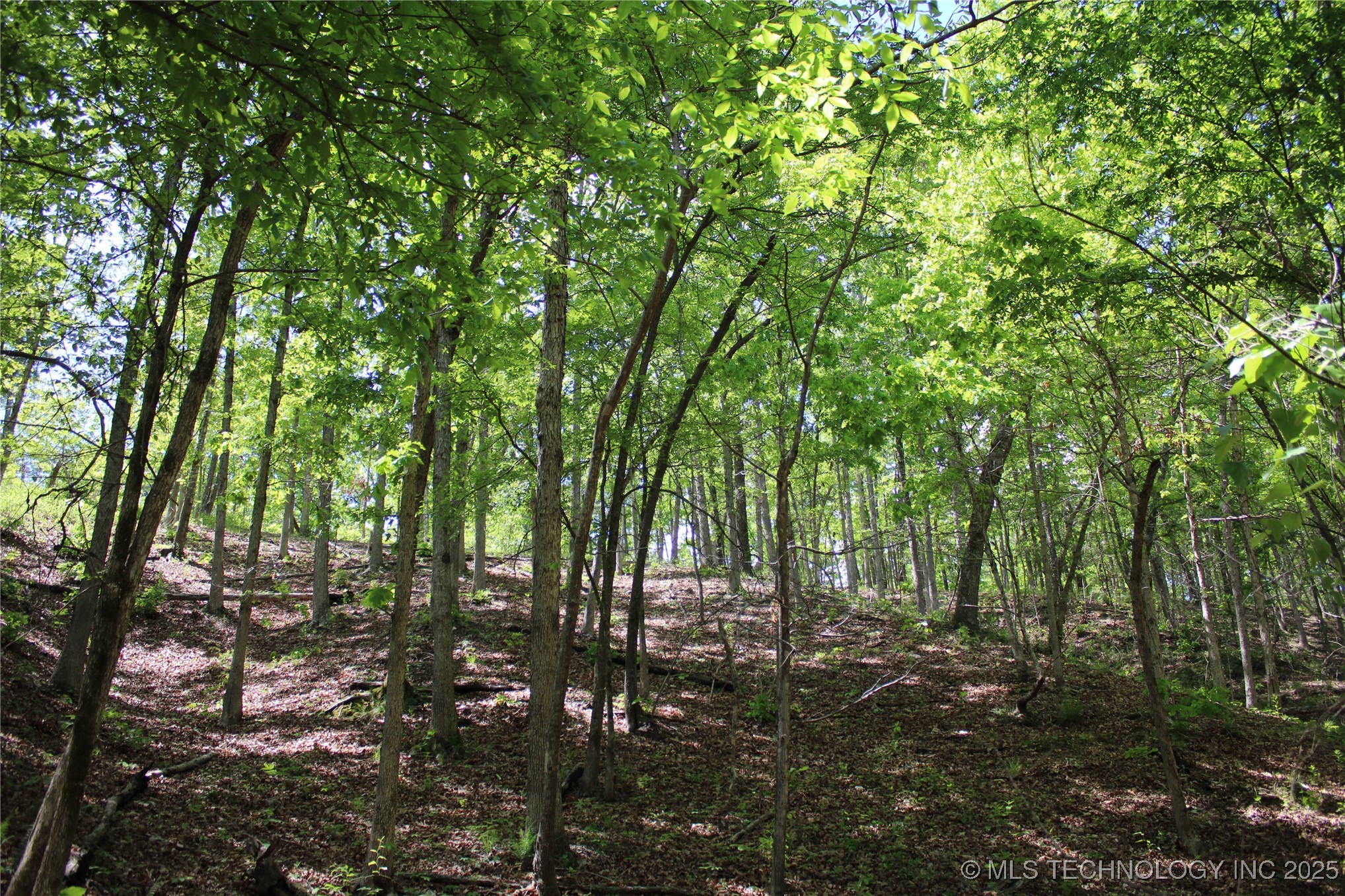 0000 E 480 Road Property Photo 16