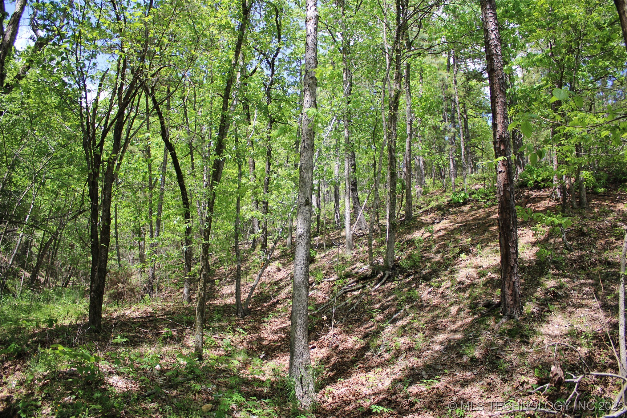 0000 E 480 Road Property Photo 18