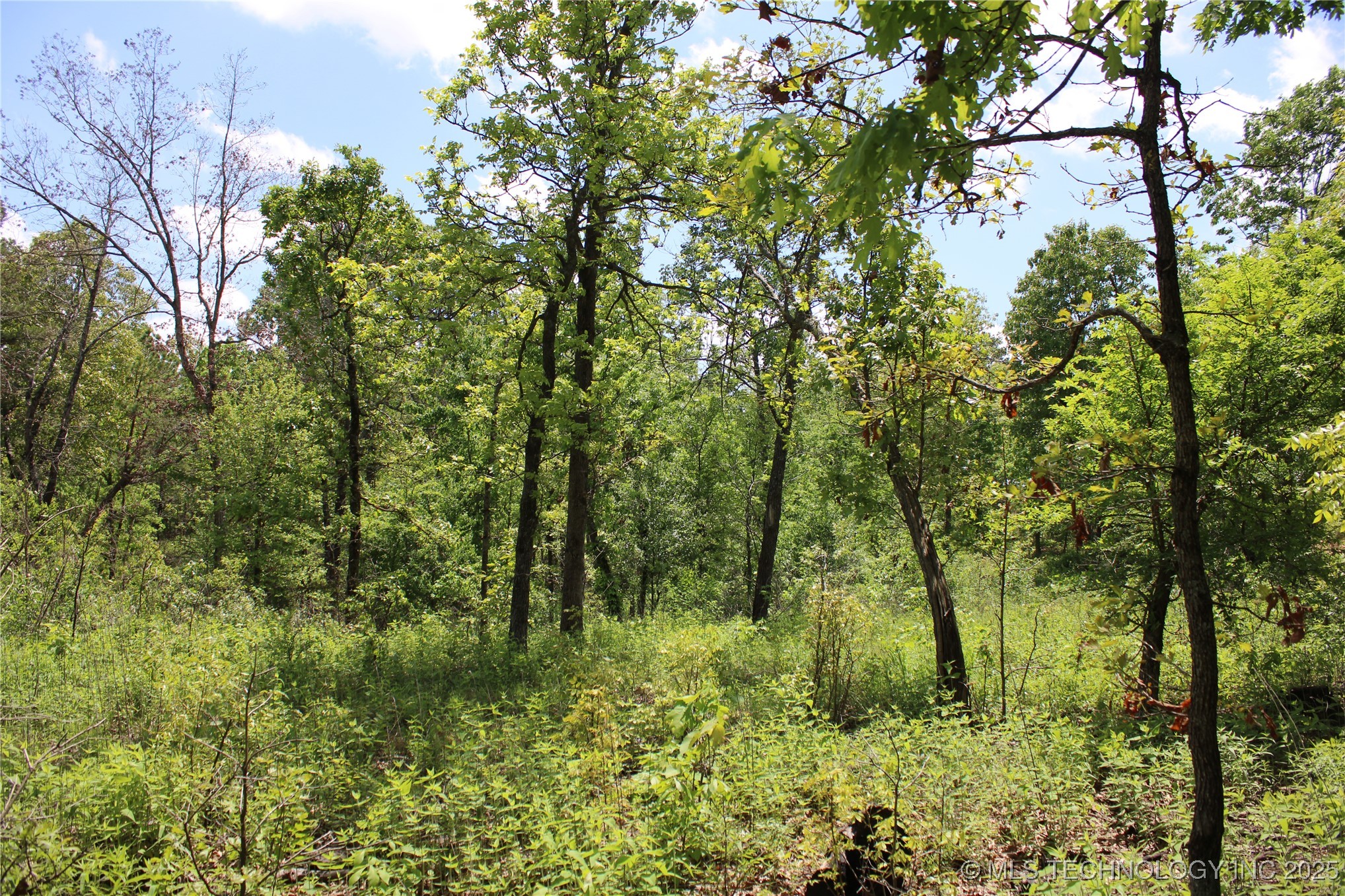 0000 E 480 Road Property Photo 23