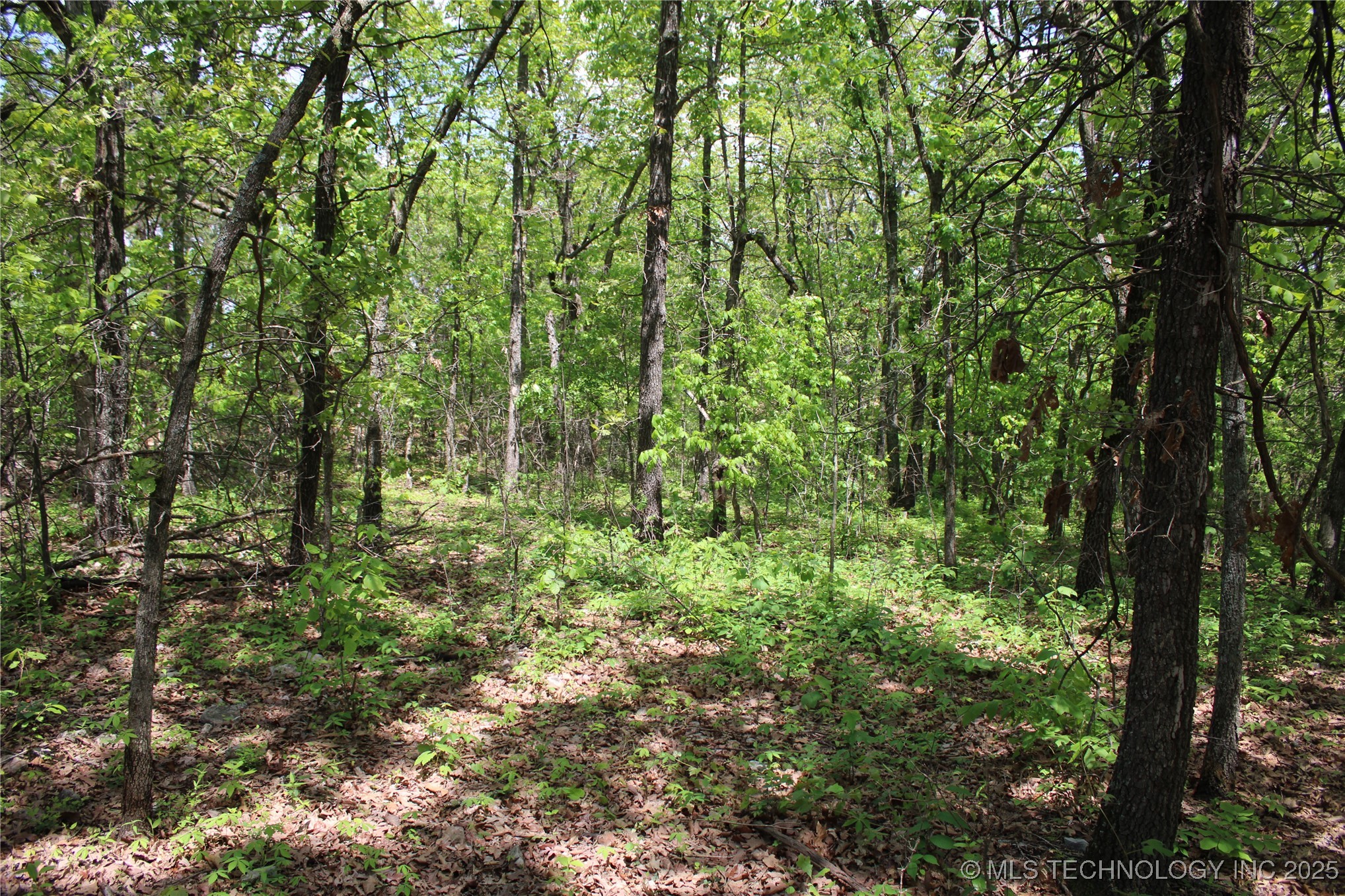 0000 E 480 Road Property Photo 24