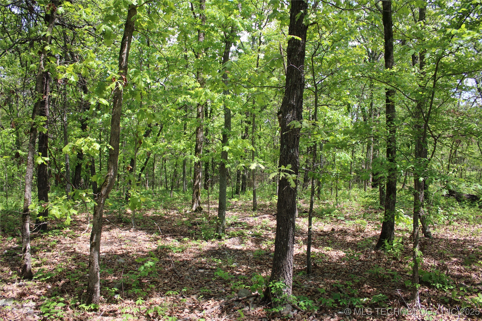 0000 E 480 Road Property Photo 25