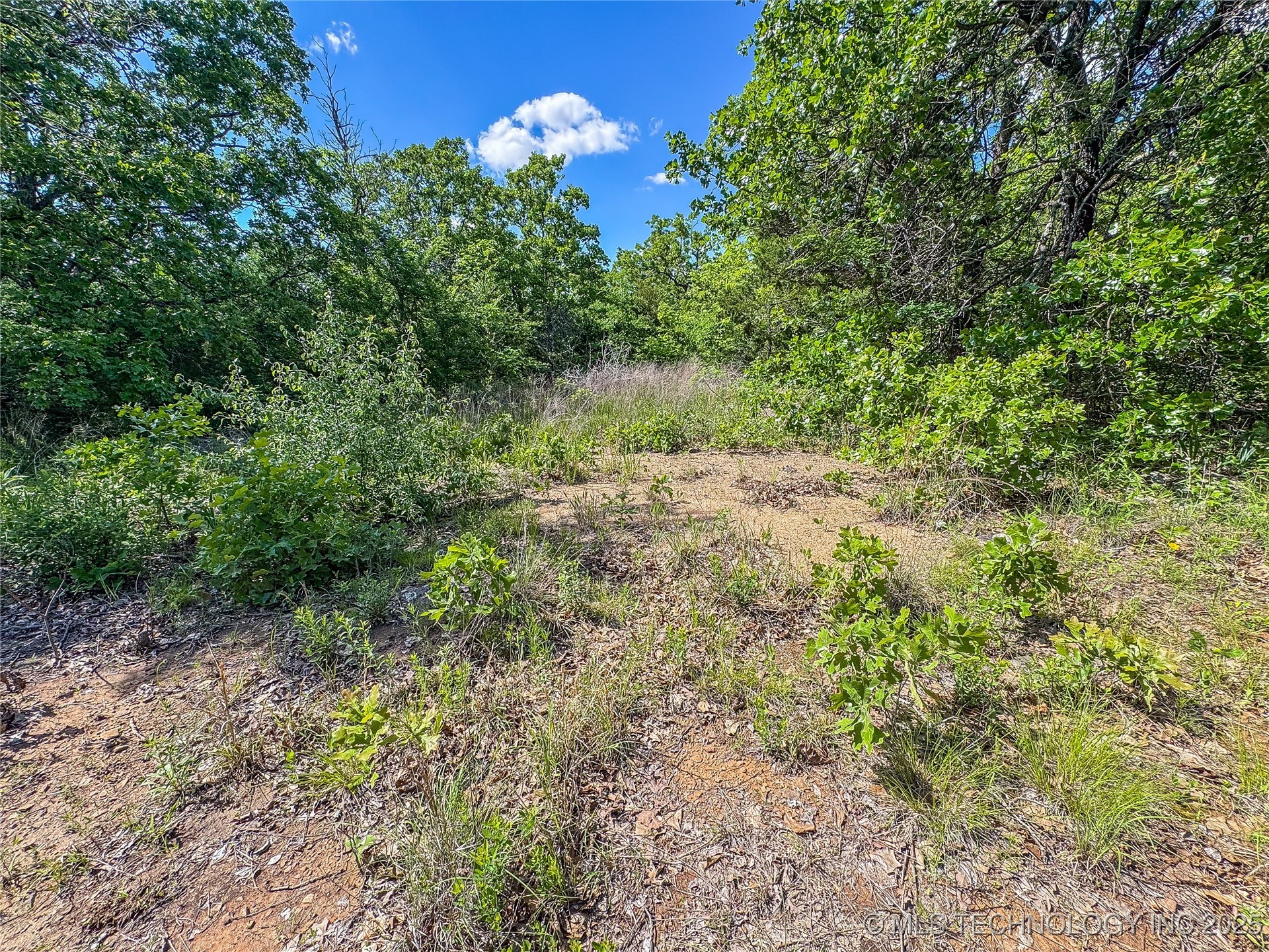 Hutson Street Property Photo 2