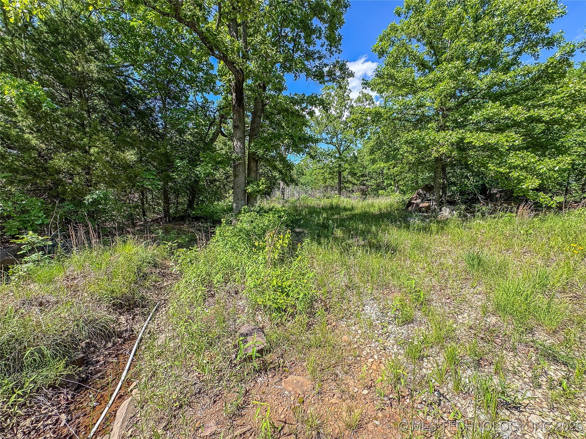 Hutson Street Property Photo 3