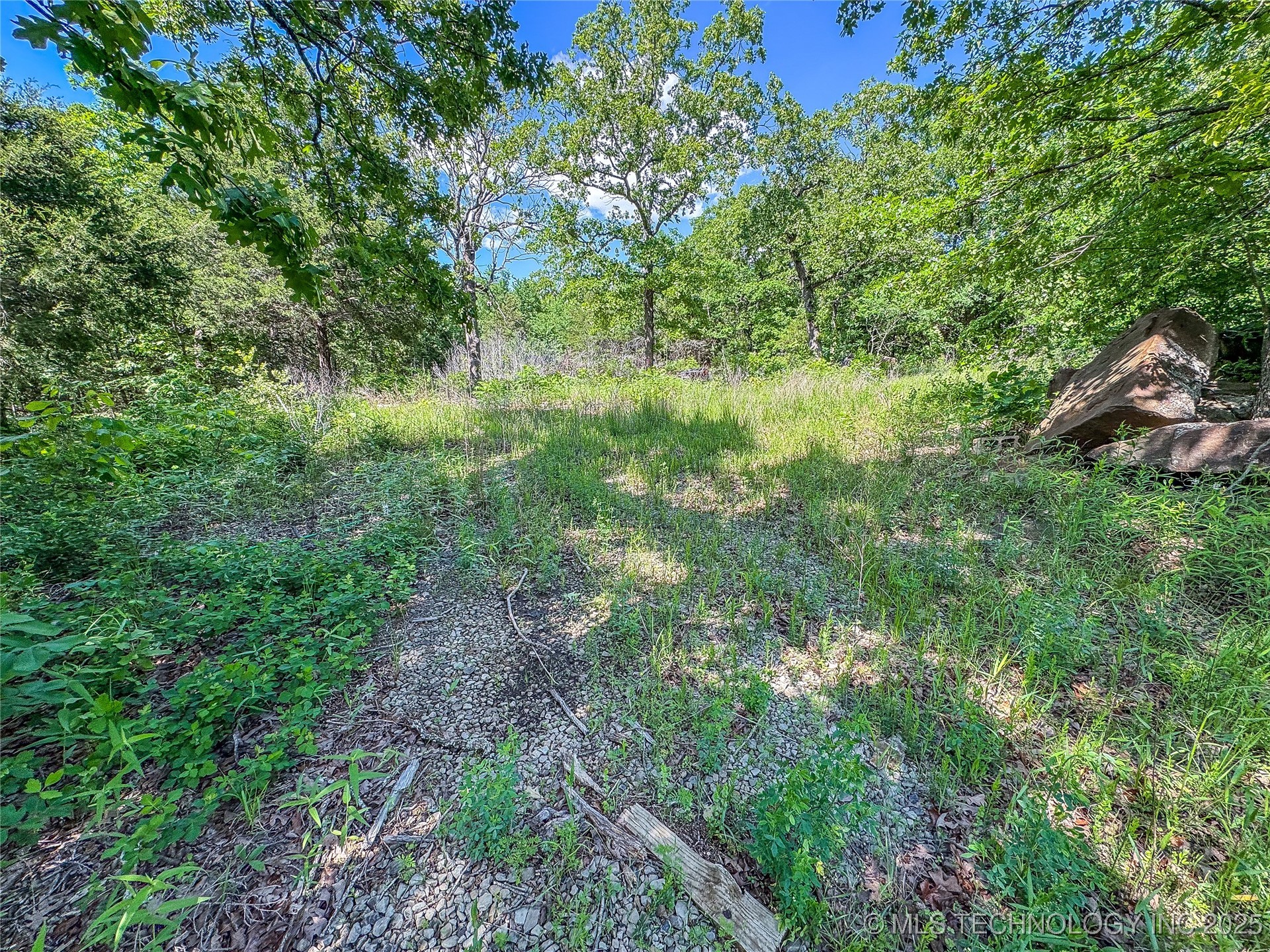 Hutson Street Property Photo 5