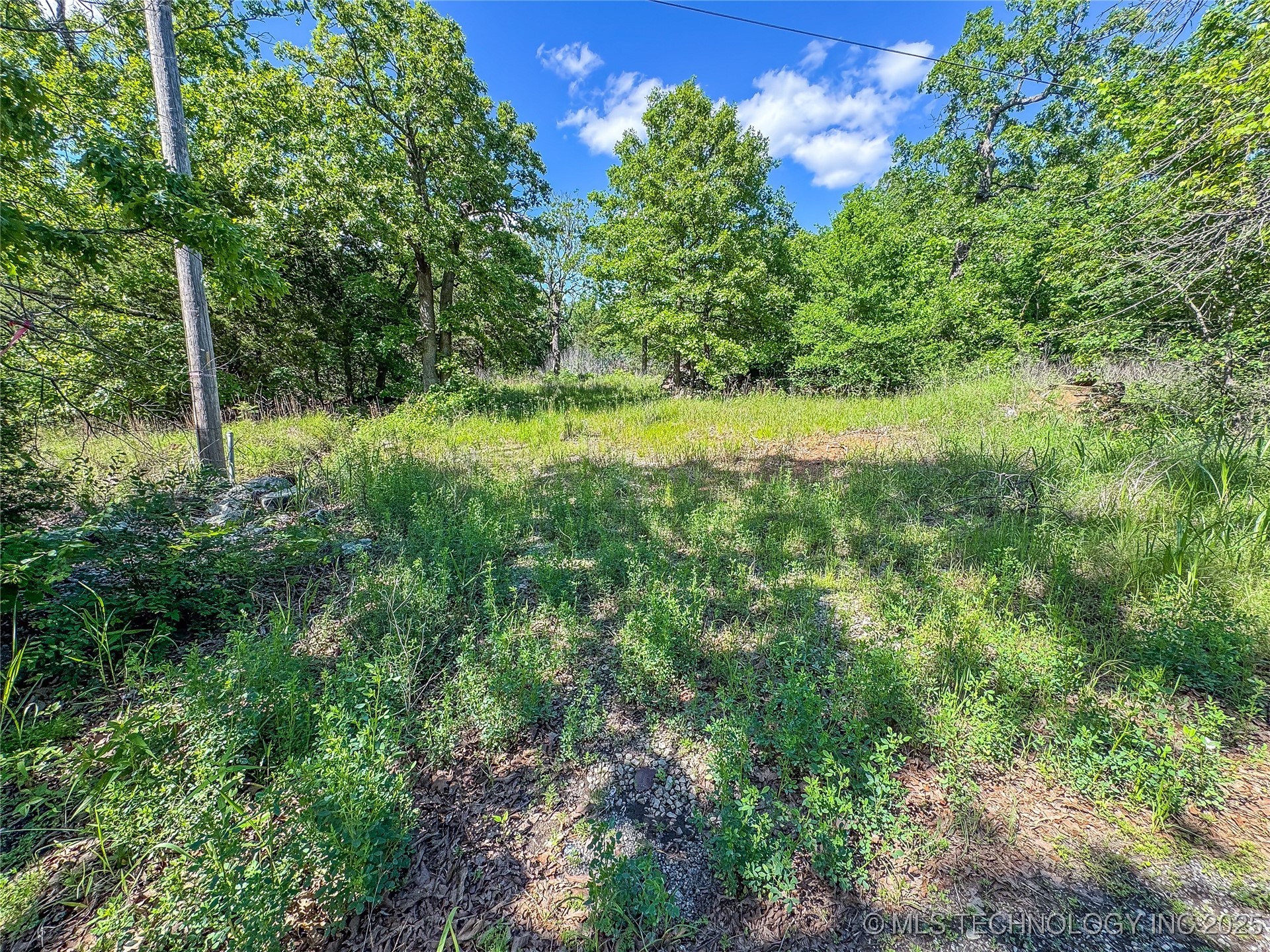 Hutson Street Property Photo 6