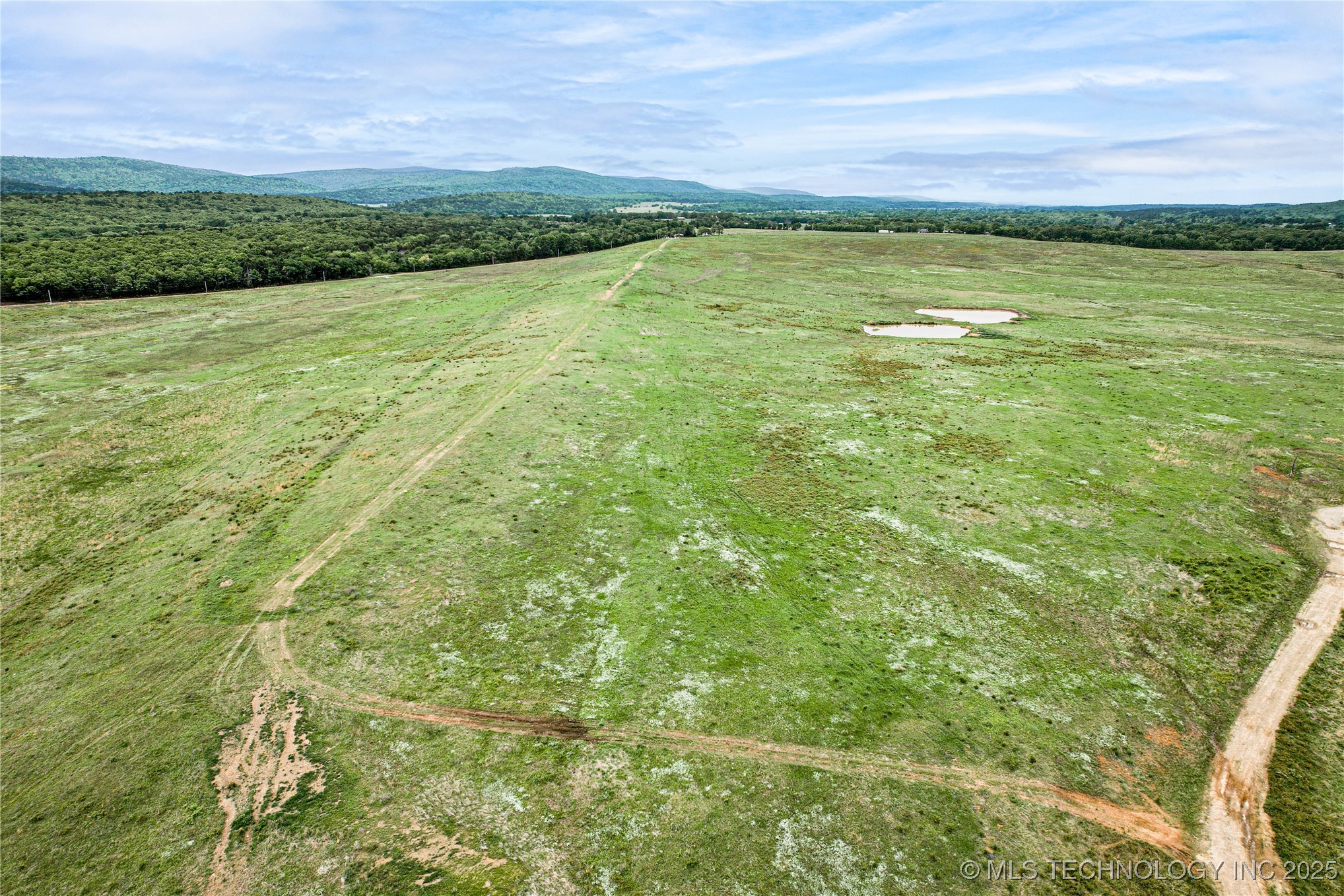 2518559 Property Photo 6