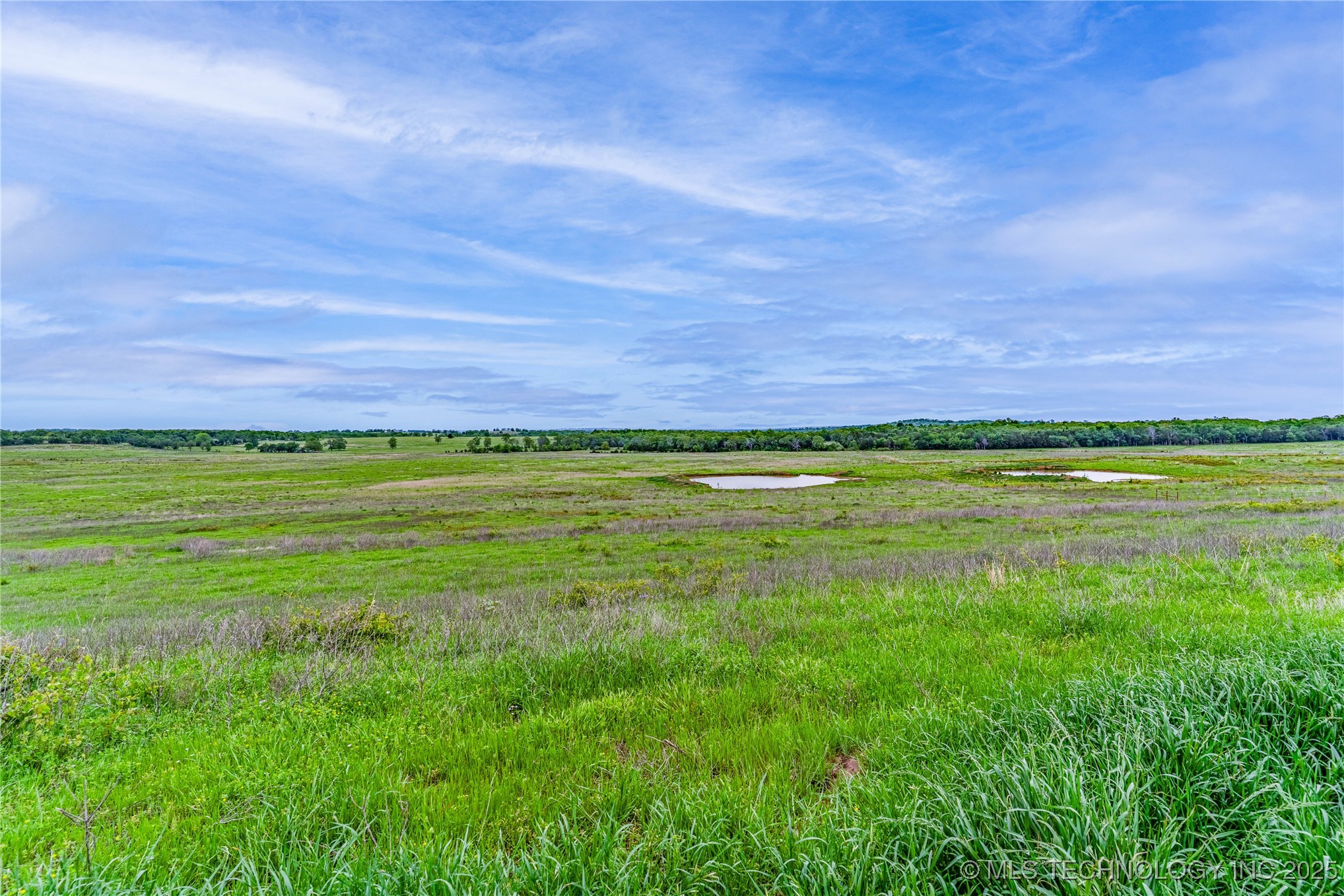 2518559 Property Photo 17