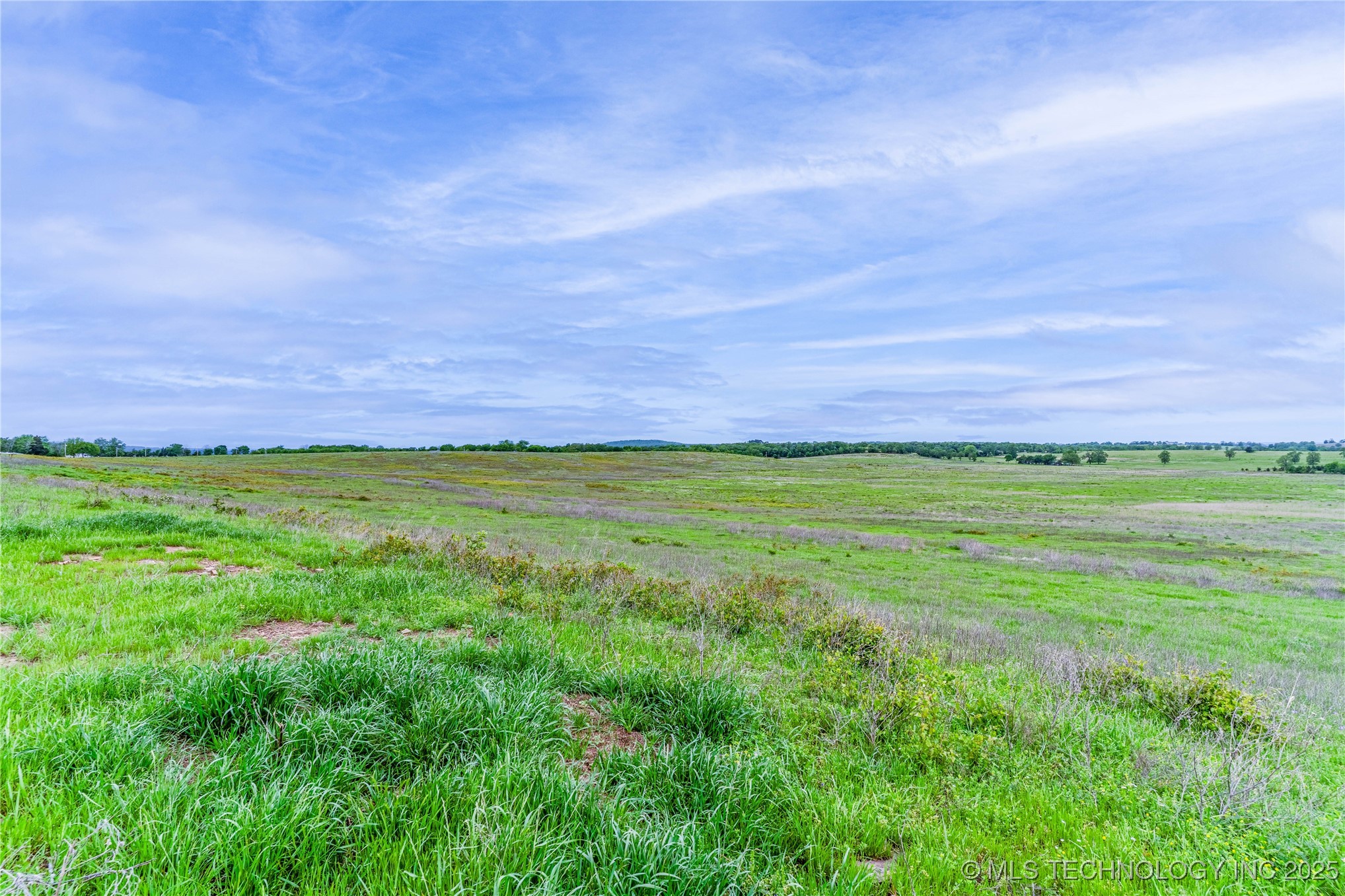 2518559 Property Photo 18