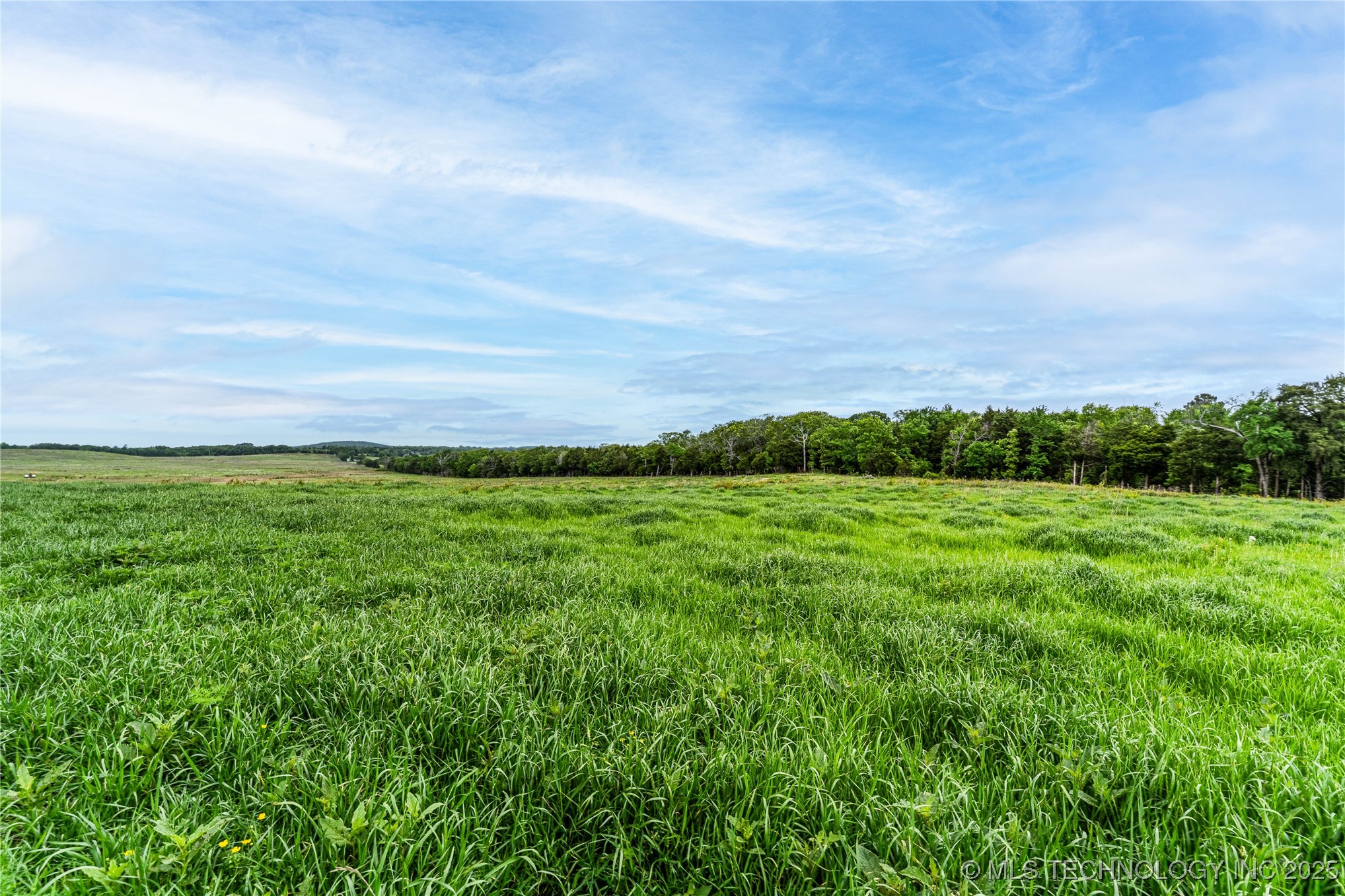 2518559 Property Photo 21