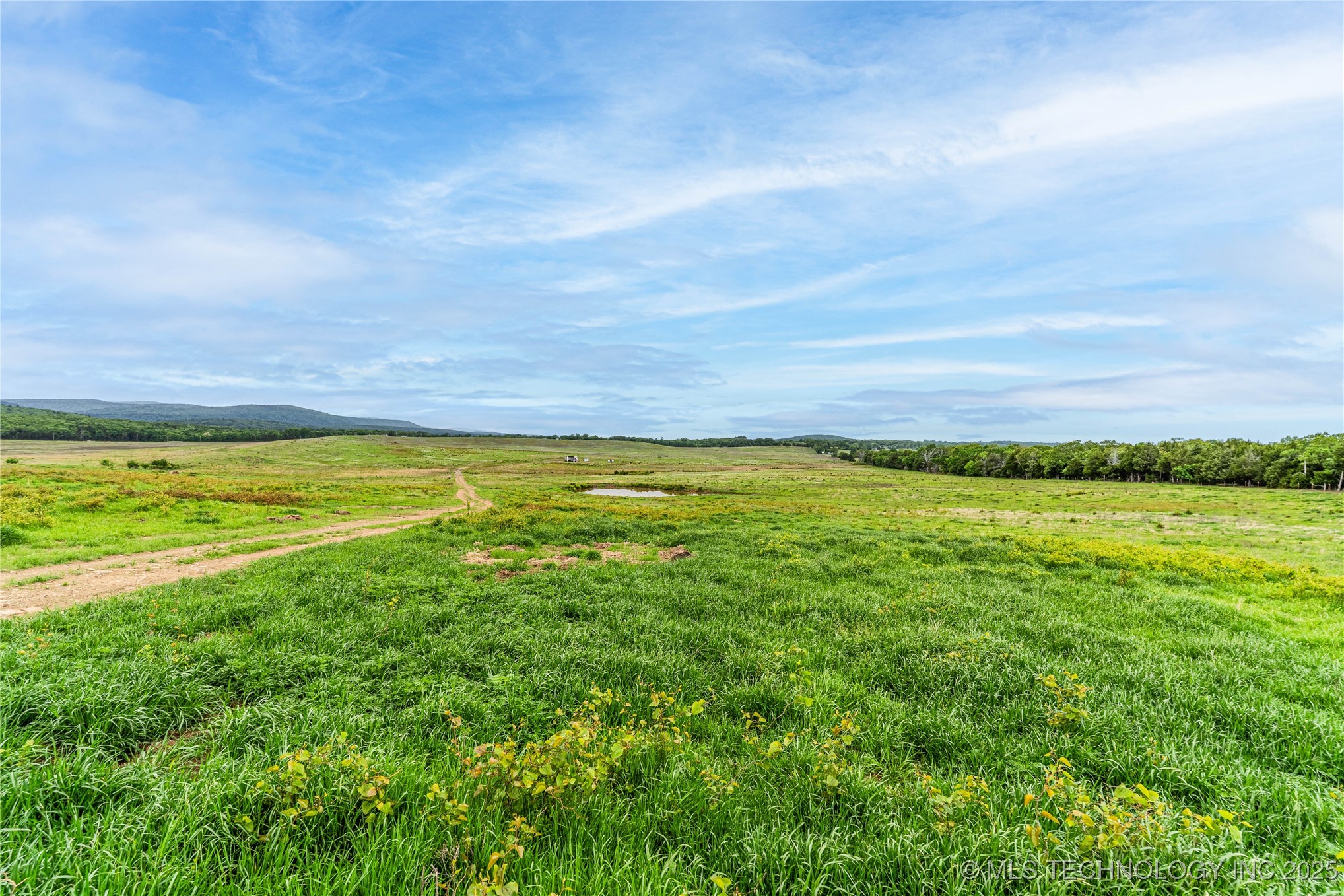 2518559 Property Photo 22