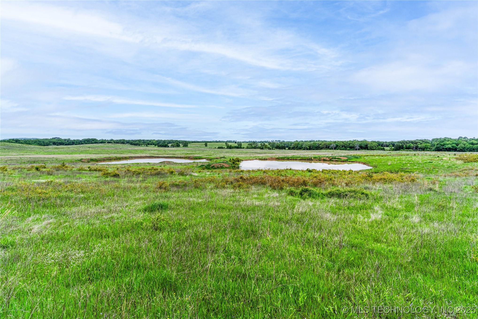 2518559 Property Photo 24