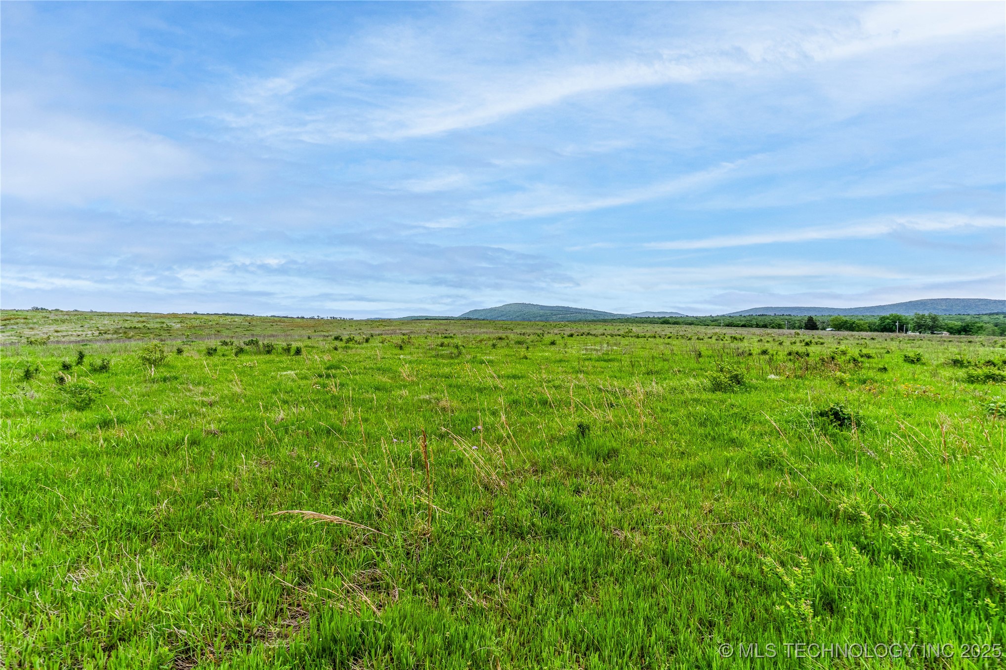 2518559 Property Photo 31